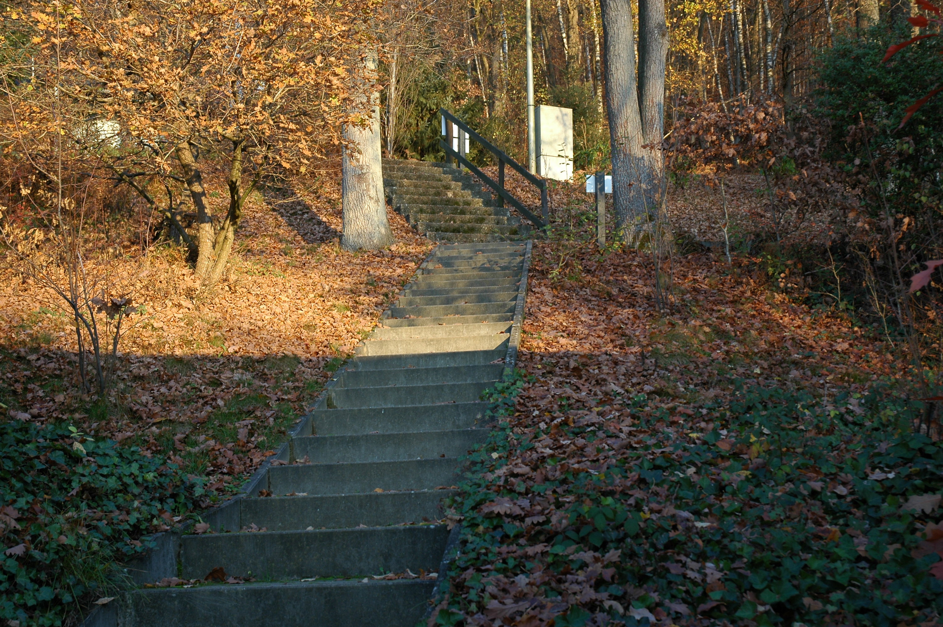 - image: 29