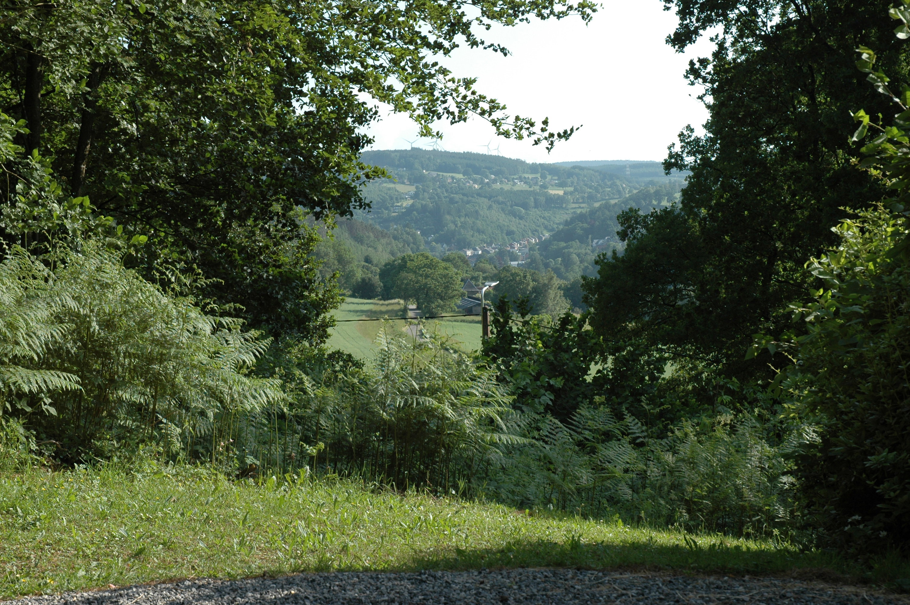 - image: 24