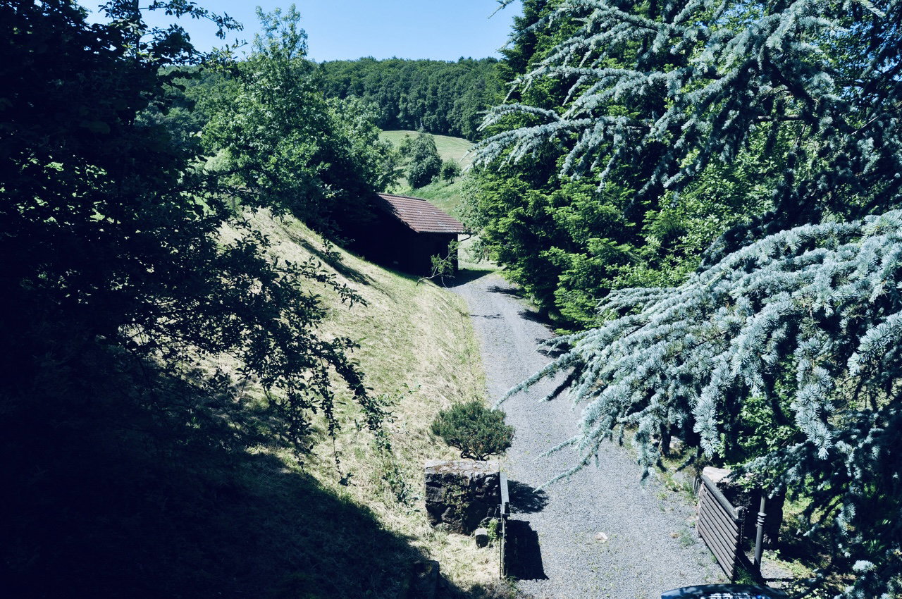 - image: 24