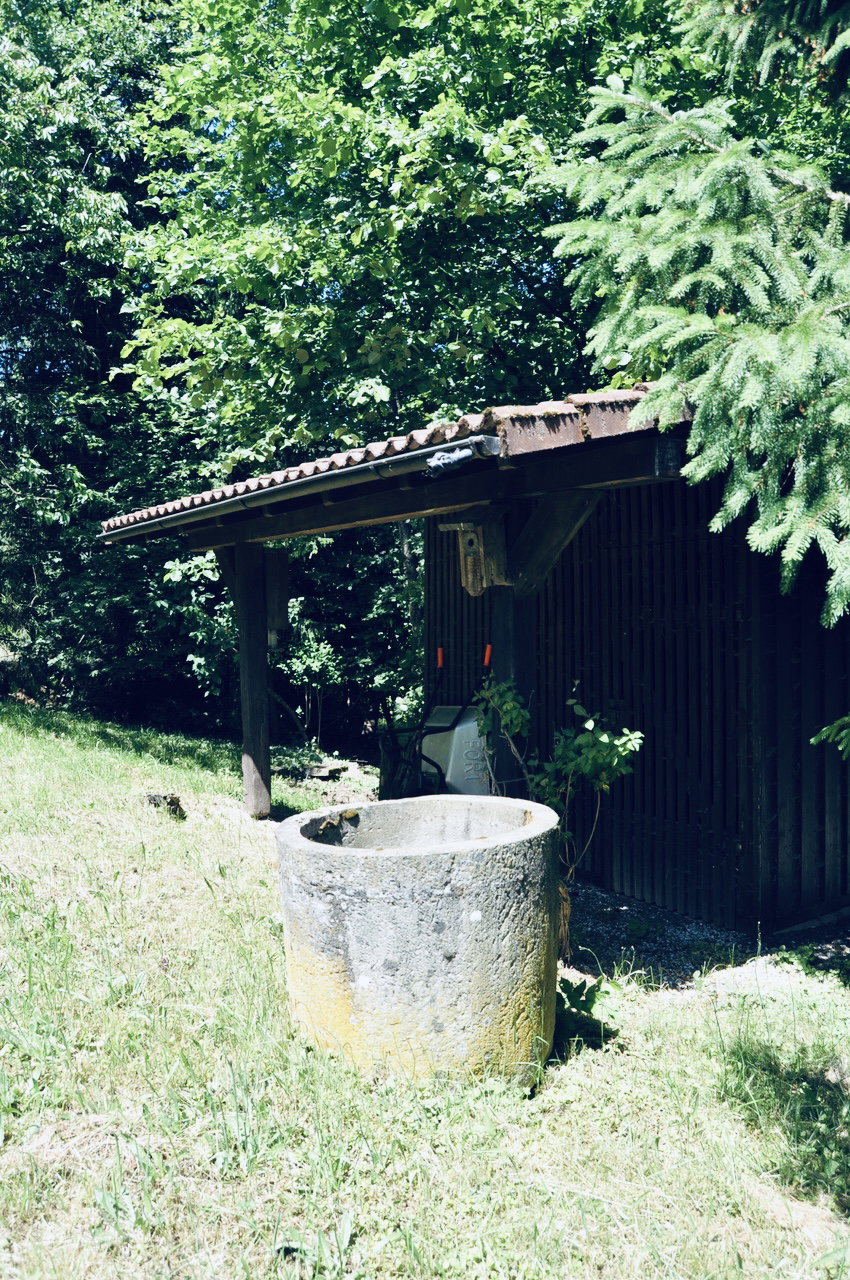 - image: 25