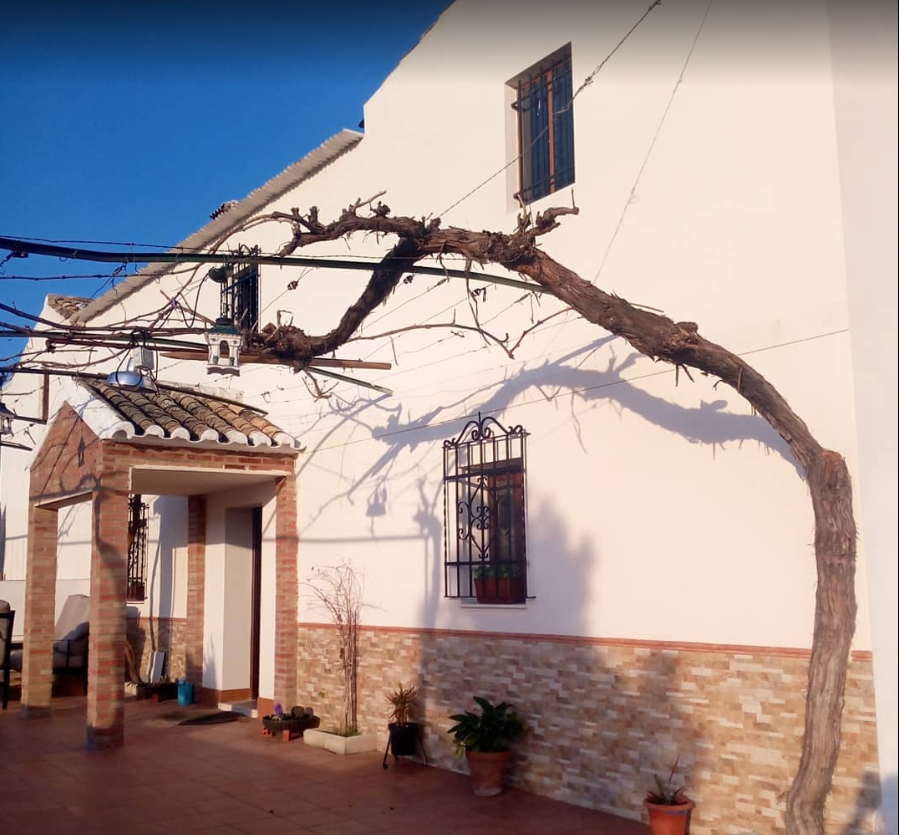 Natuurhuisje in Montilla