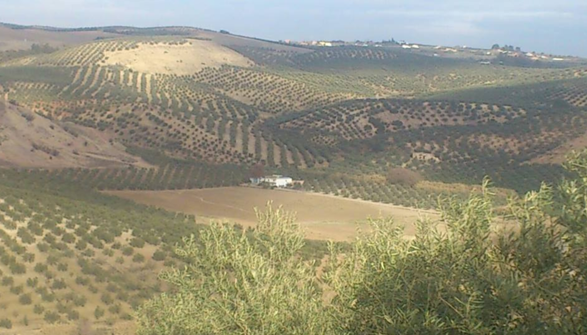 Natuurhuisje in Montilla