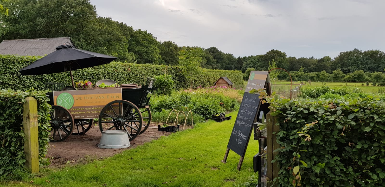 Maison nature à Ruinen