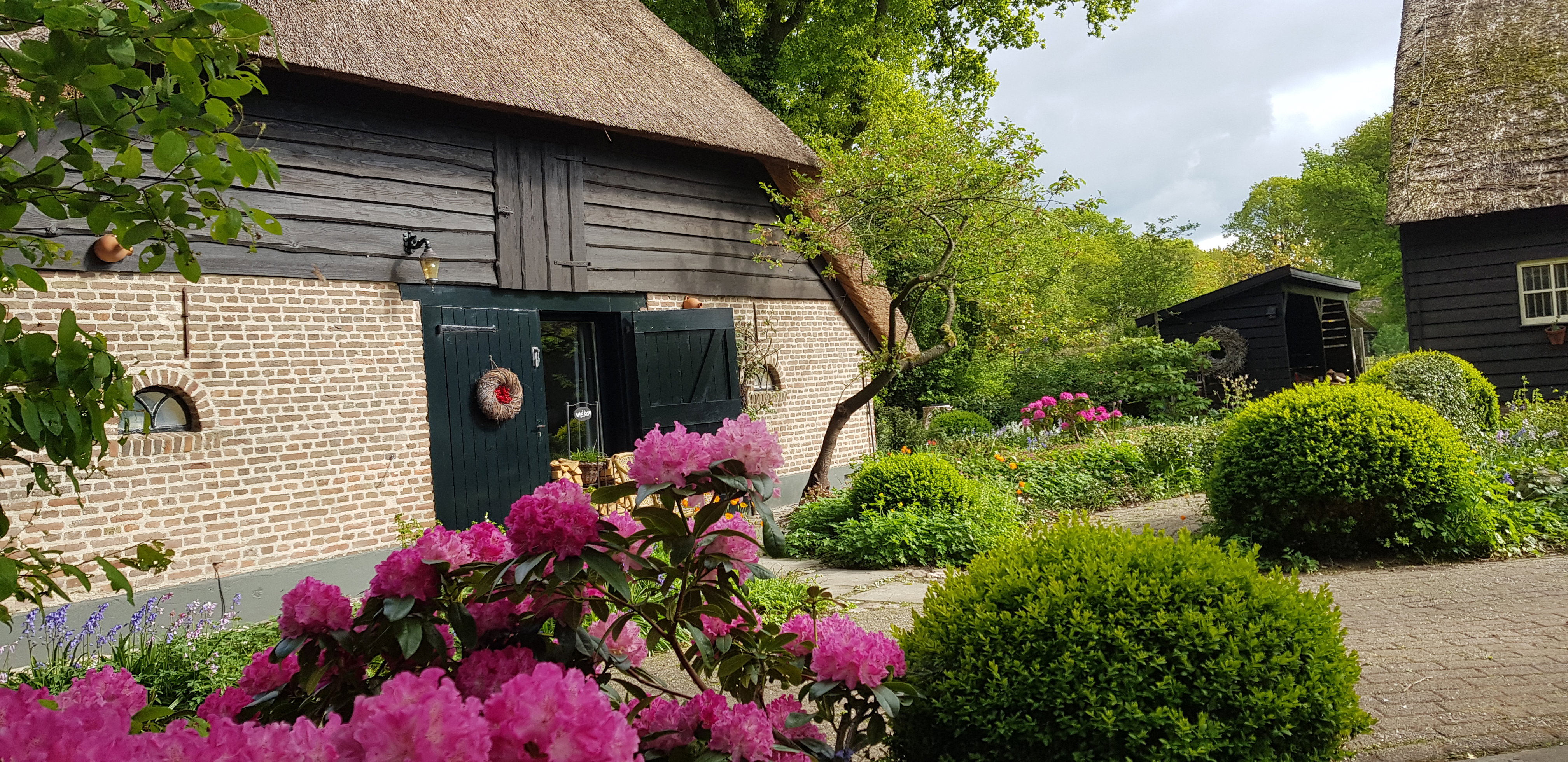 Maison nature à Ruinen