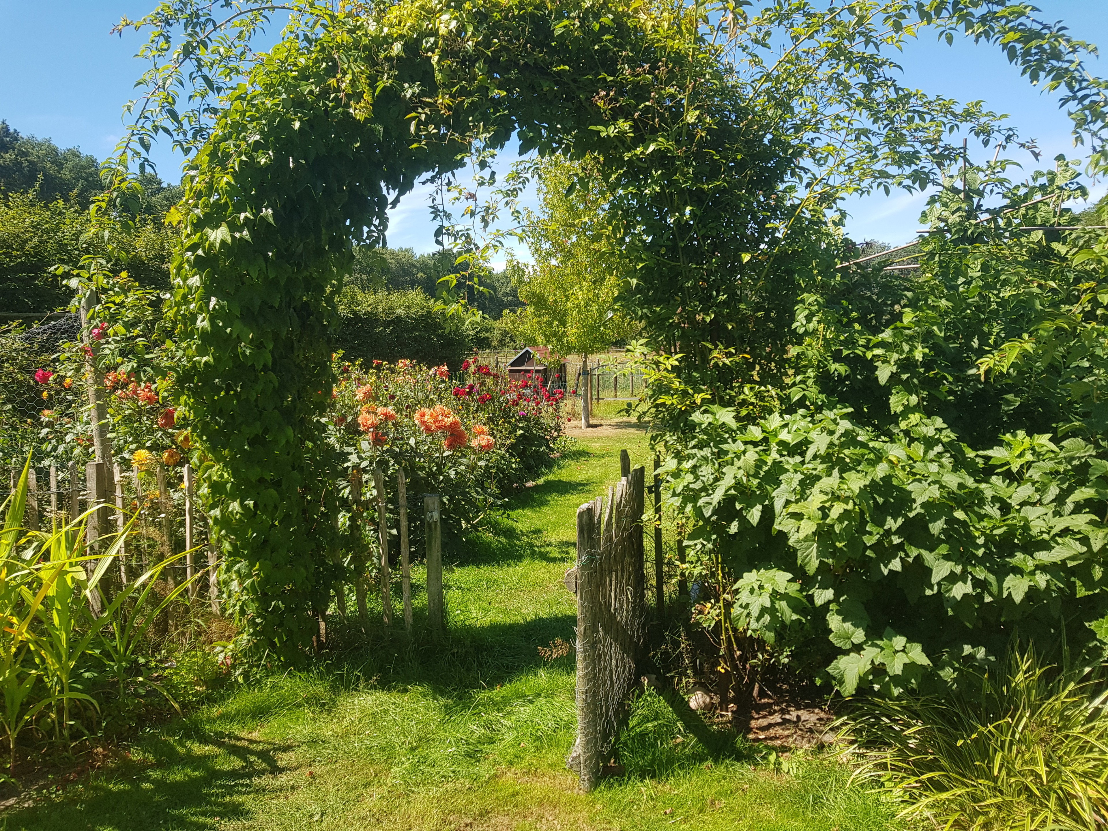 Naturhäuschen in Ruinen