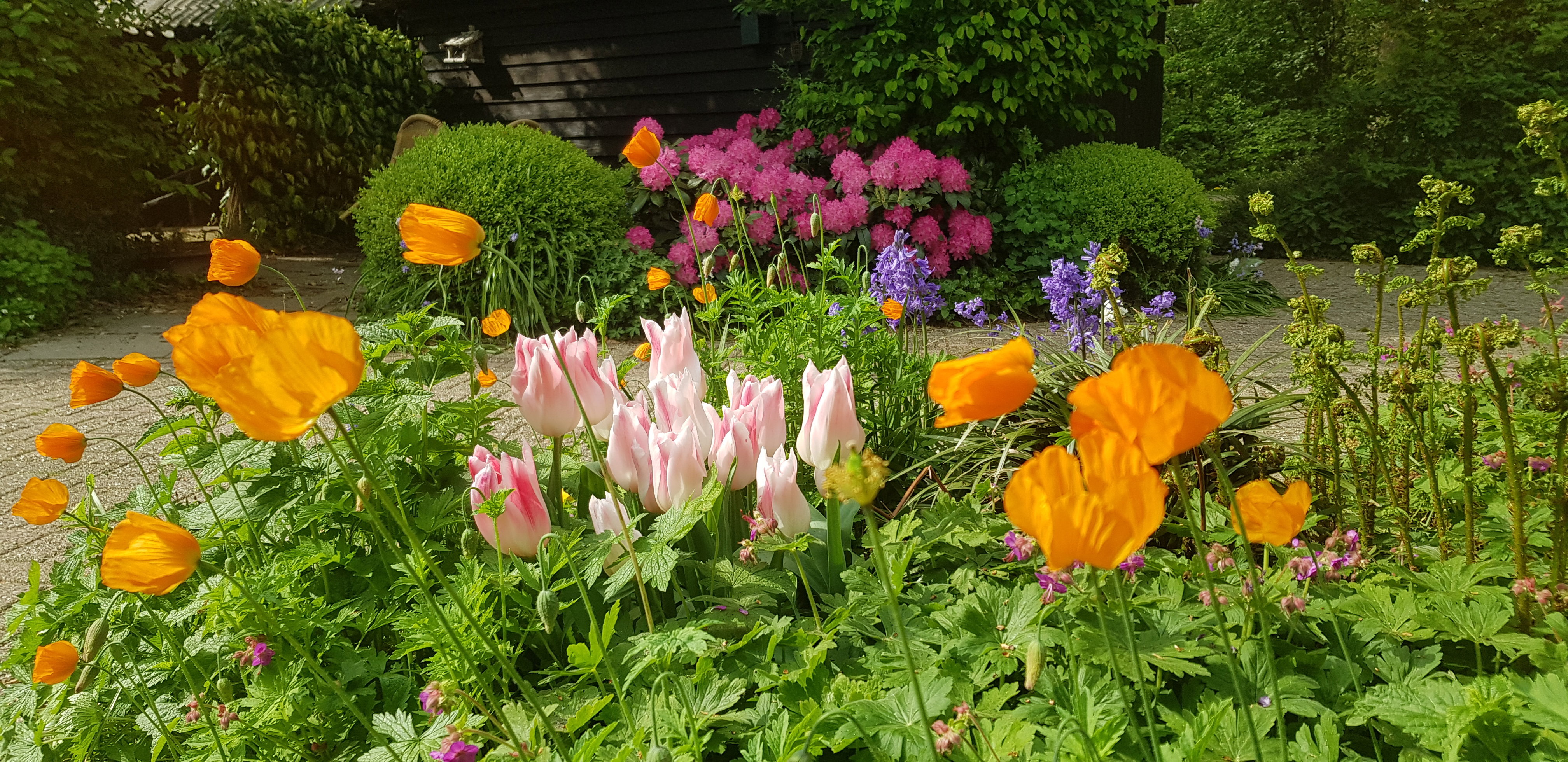 Naturhäuschen in Ruinen