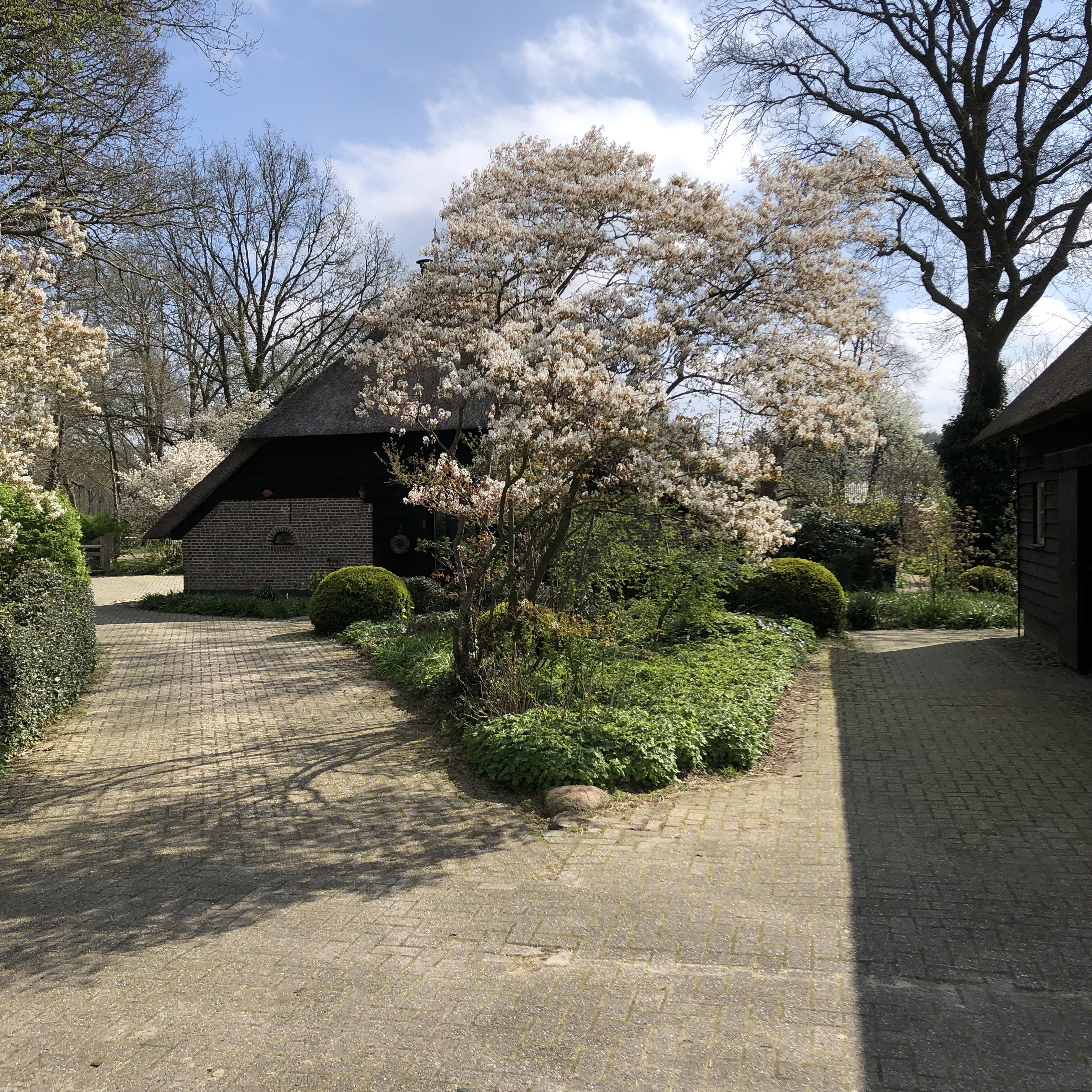 Naturhäuschen in Ruinen