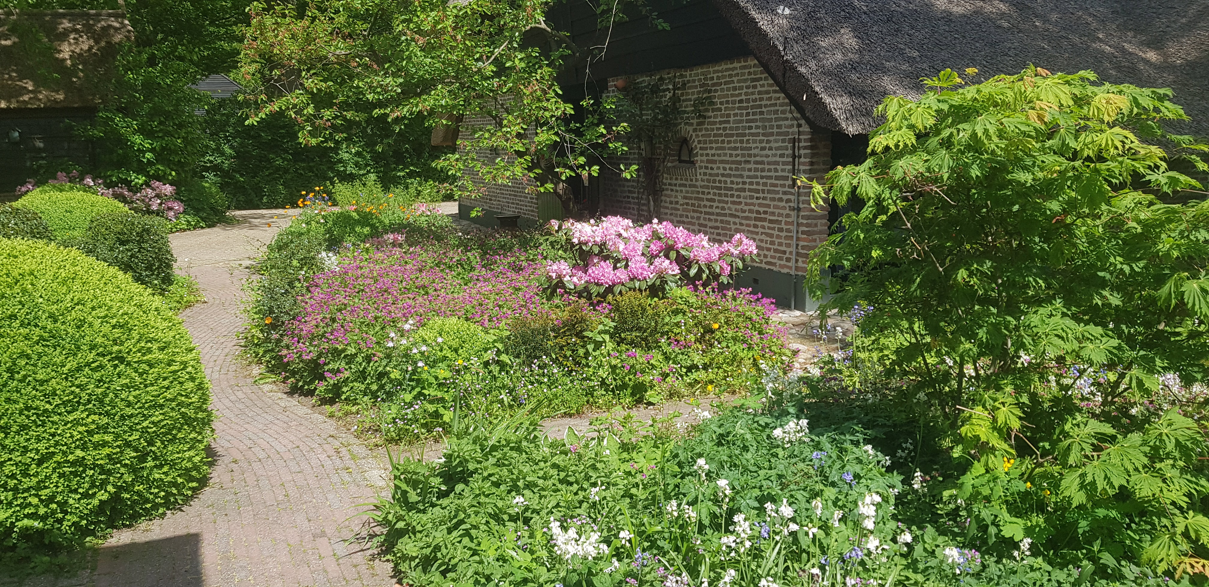 Natuurhuisje in Ruinen