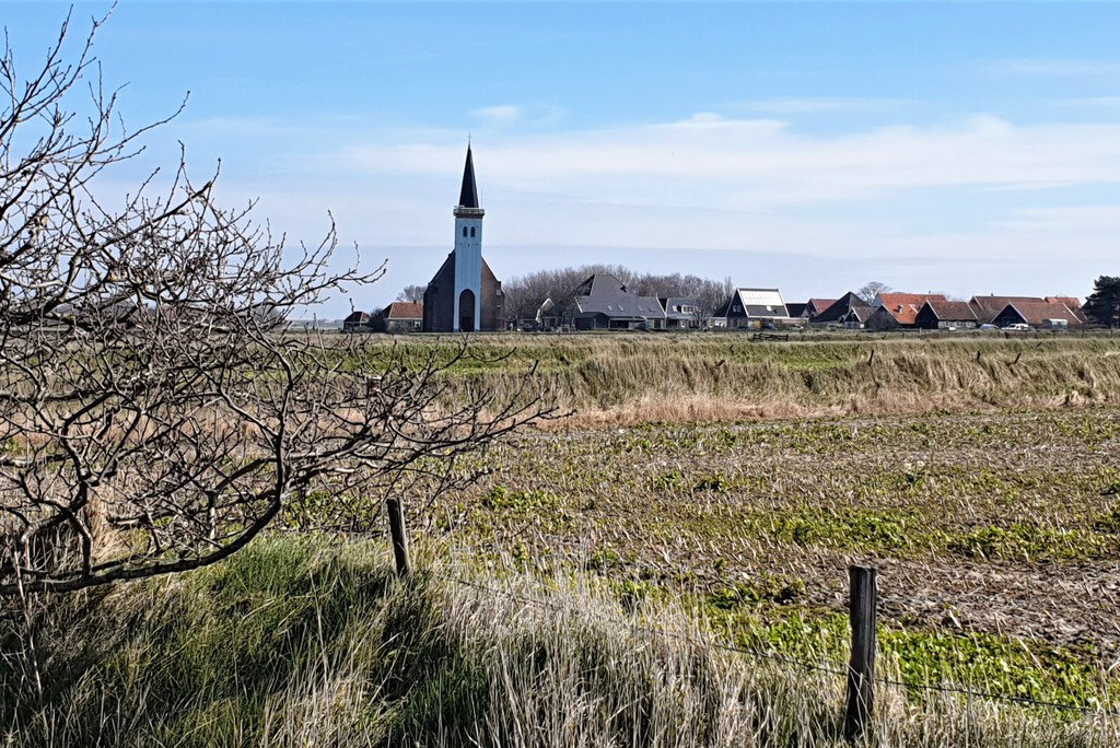 - image: 11