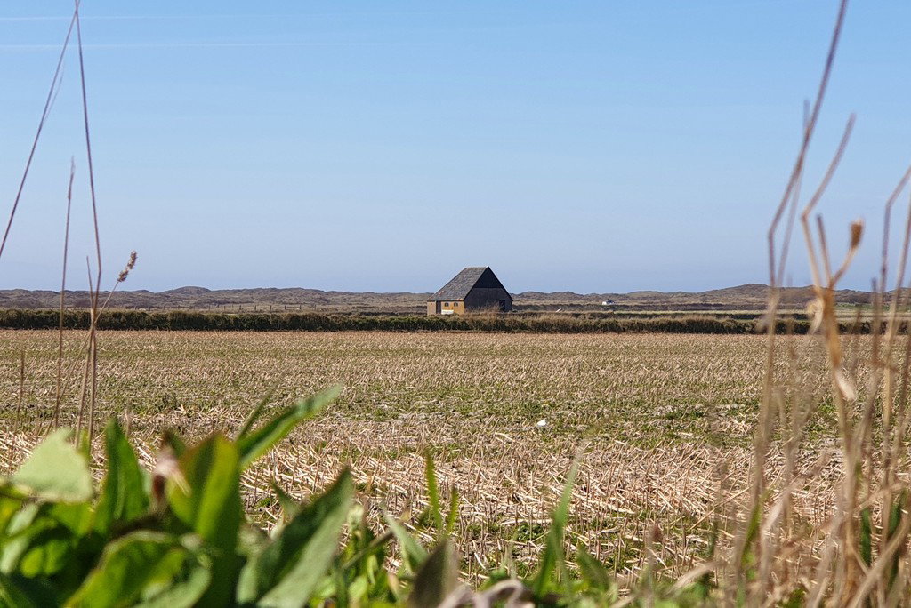 Natuurhuisje in Den Hoorn
