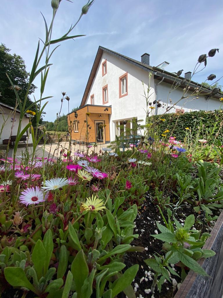 Natuurhuisje in Büllingen