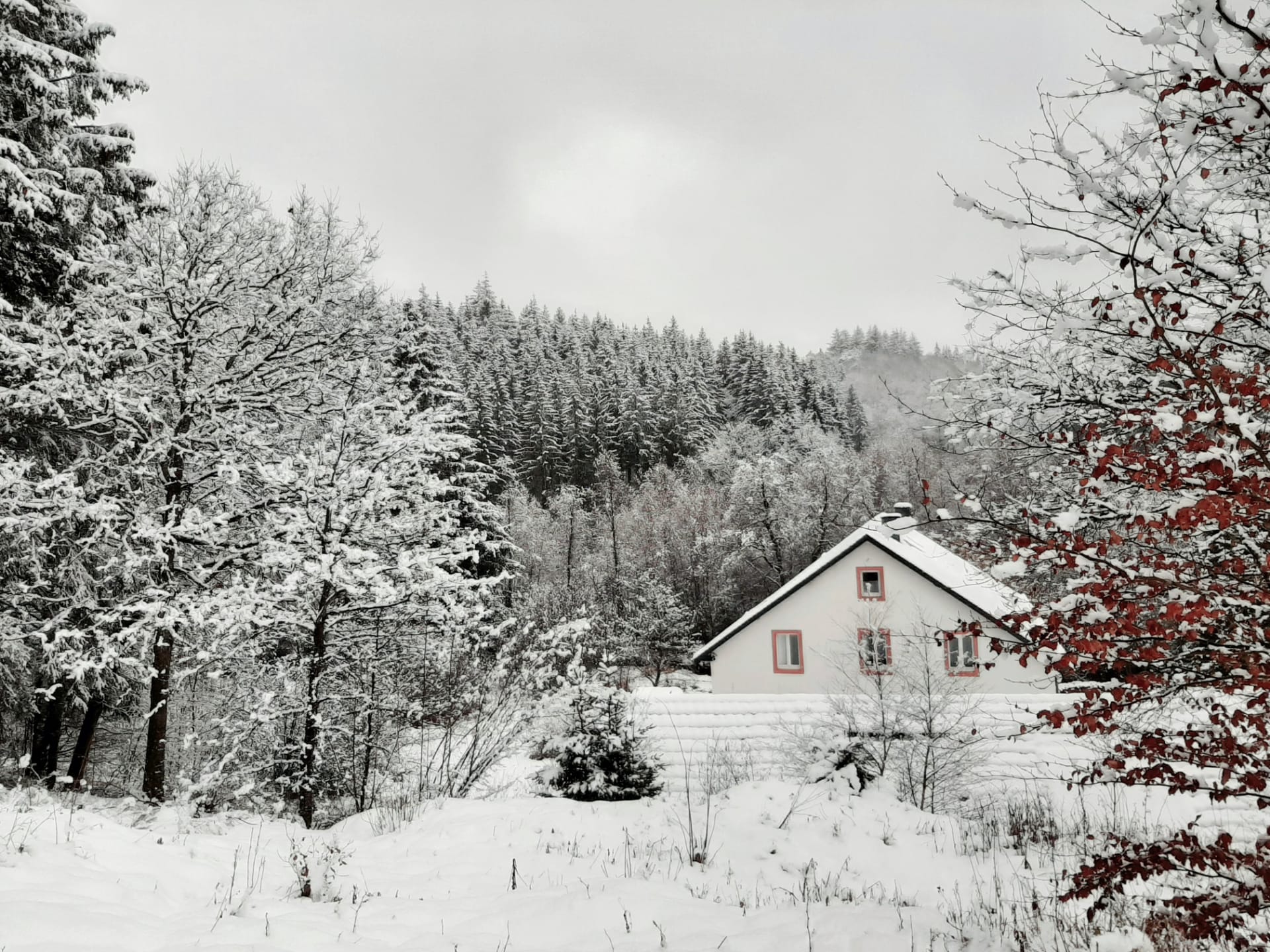 Natuurhuisje in Büllingen