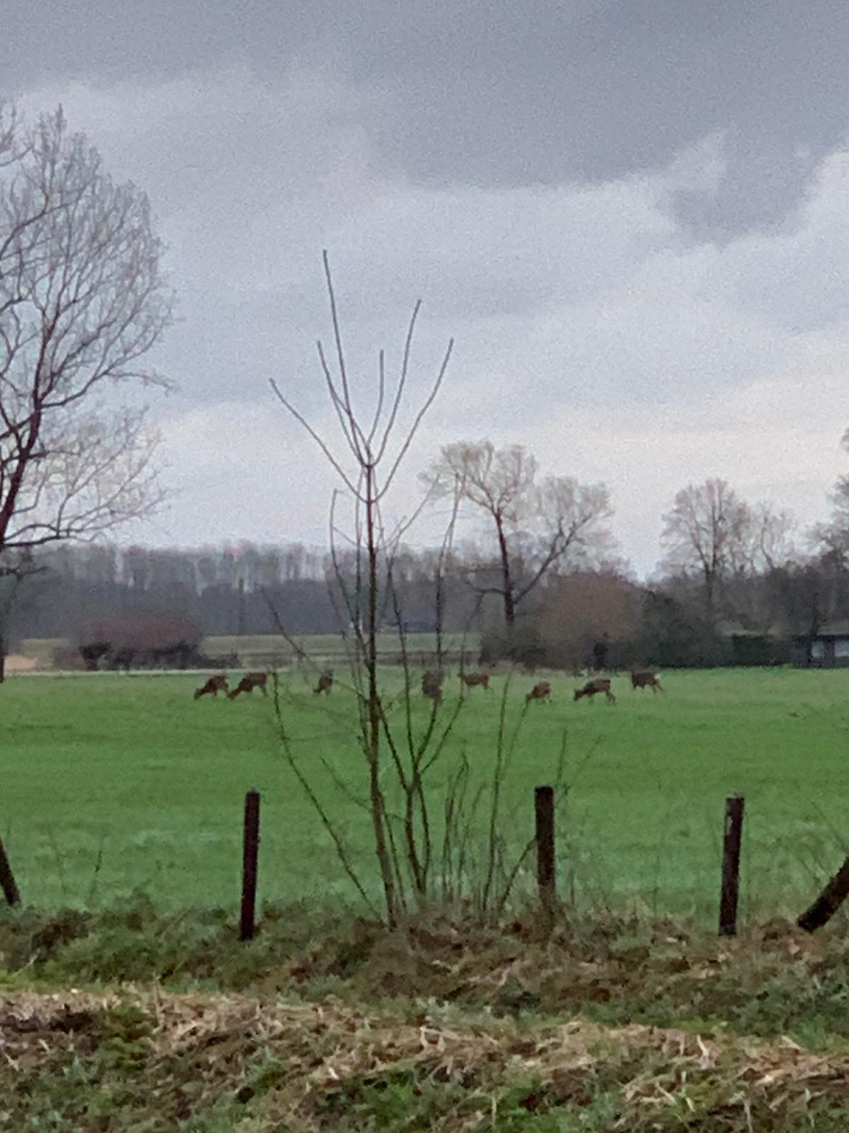 Maison nature à Voorstonden Gem. Brummen