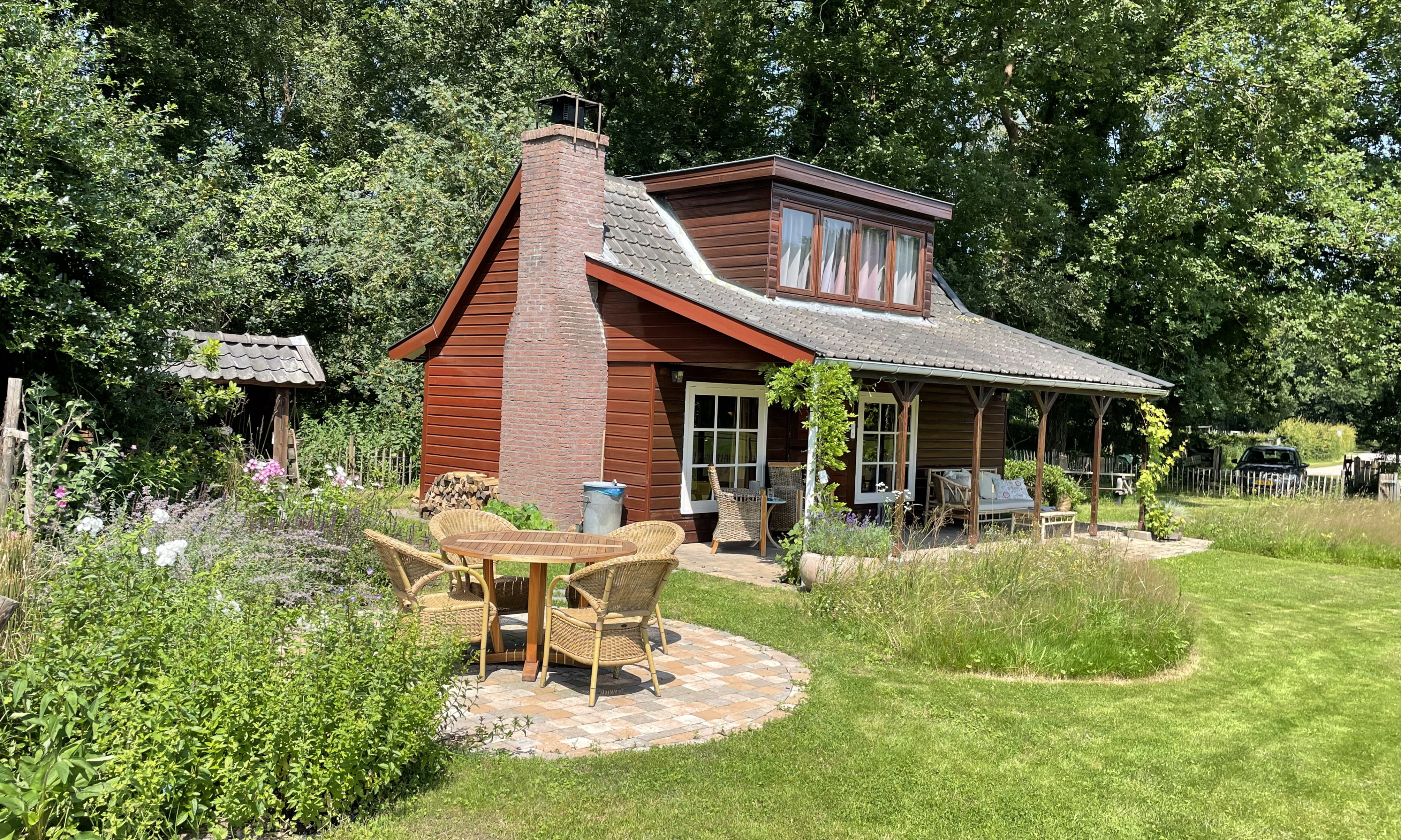 - image: 6