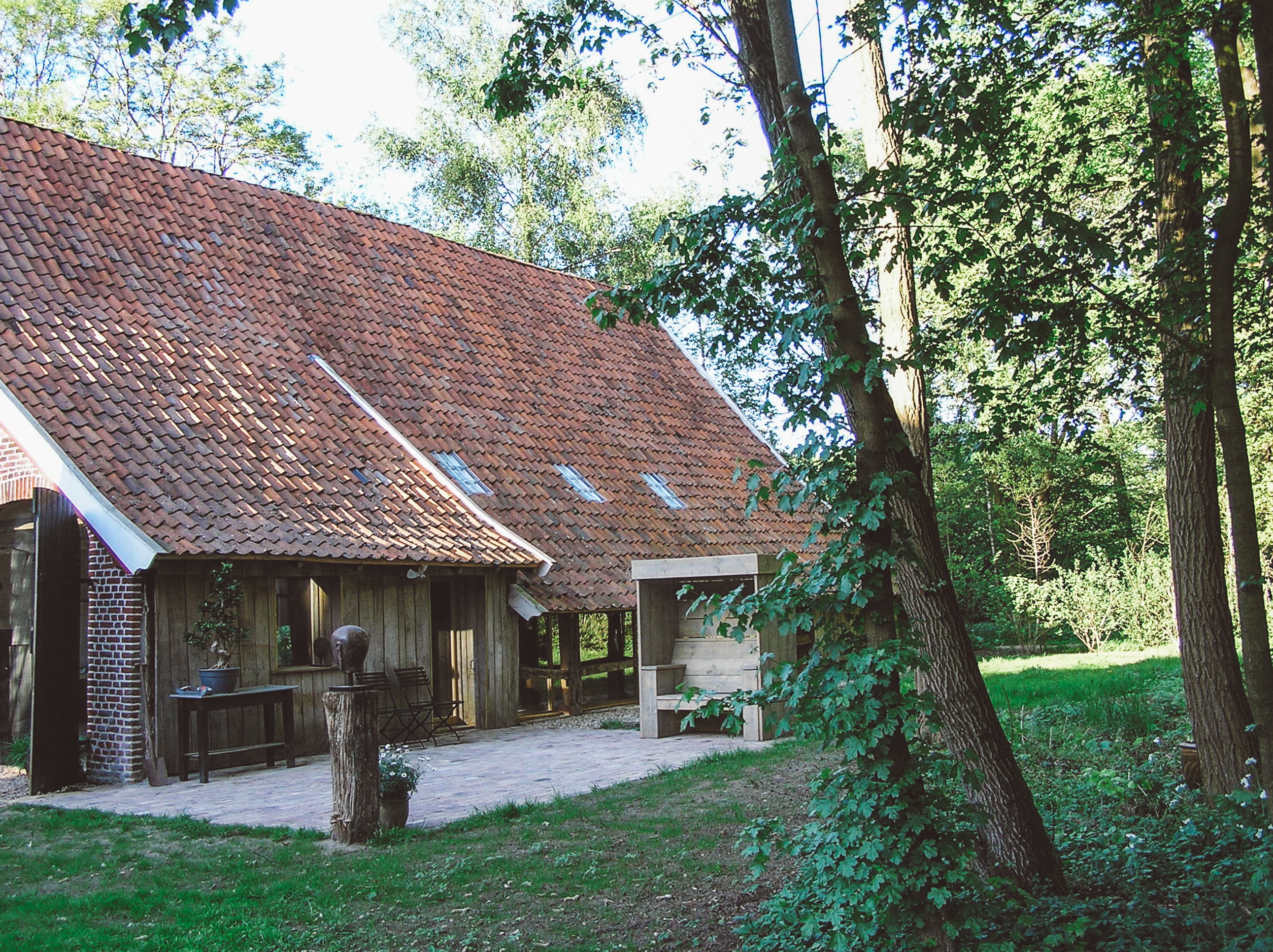 - image: 12