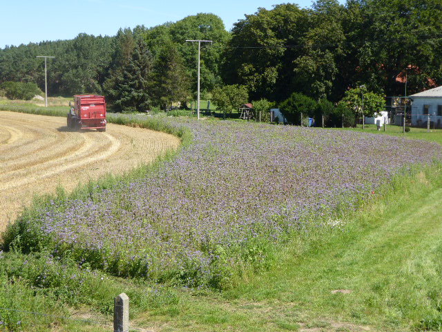 - image: 26
