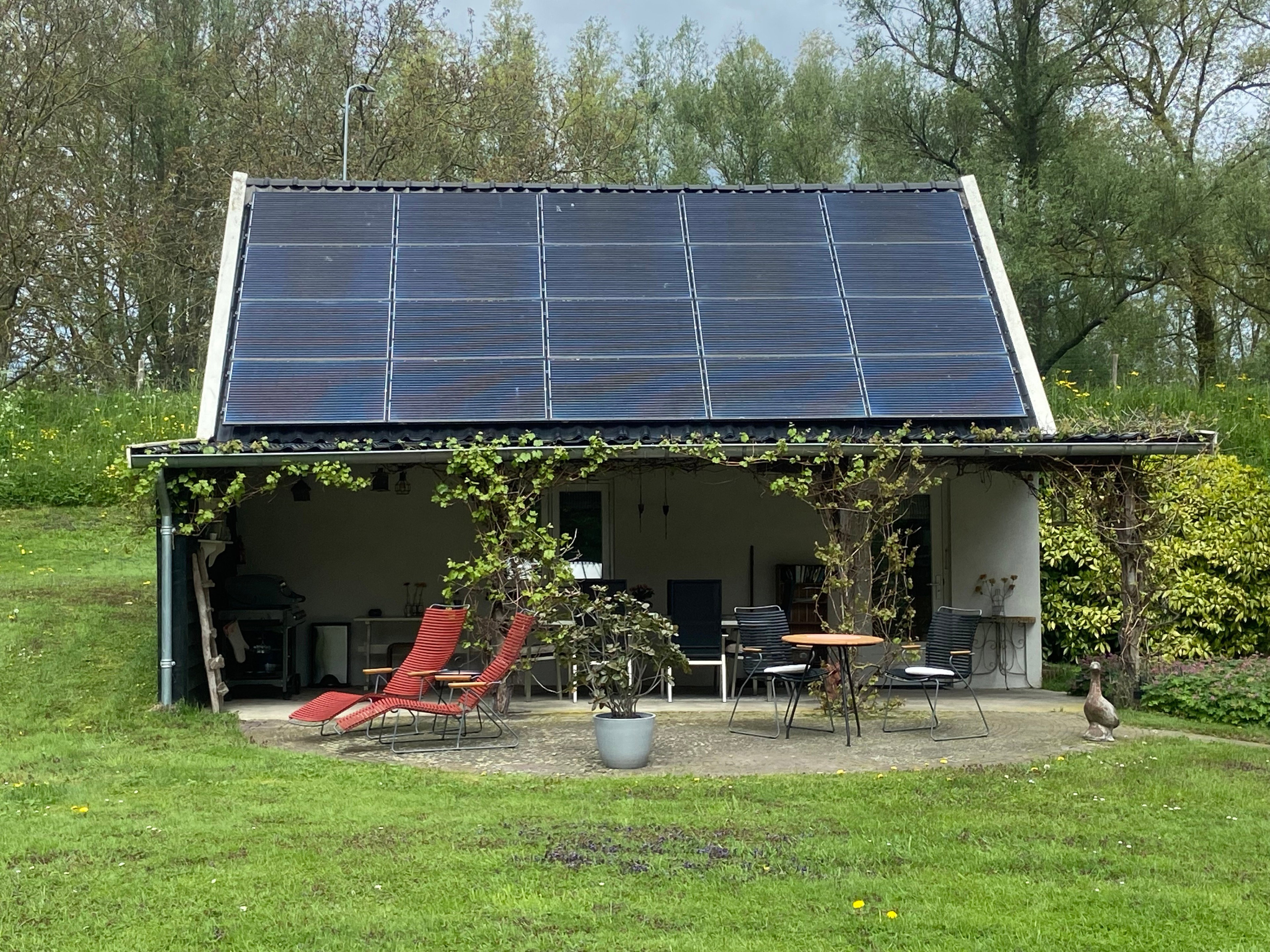 - image: 37