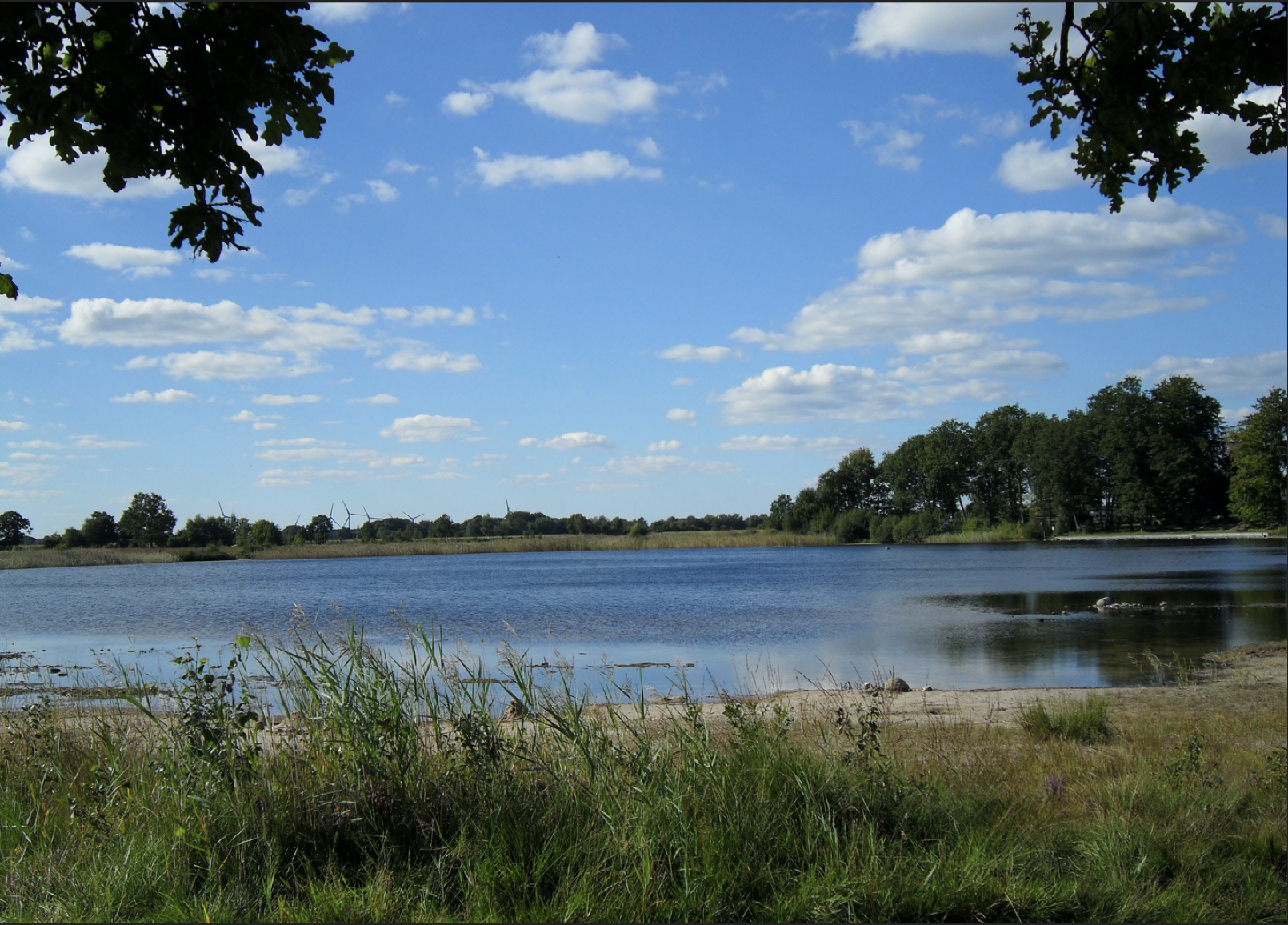 - image: 23