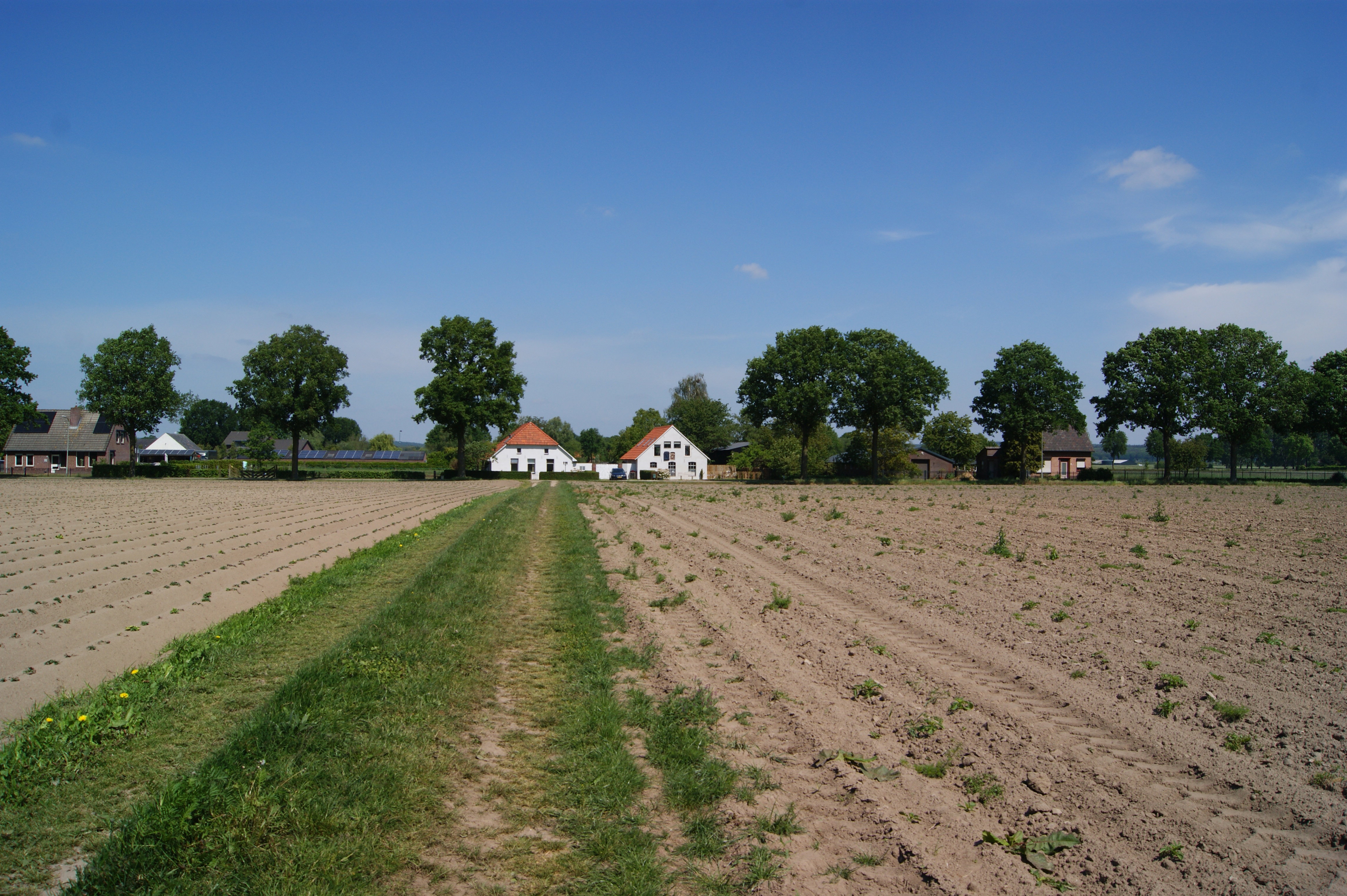- image: 24