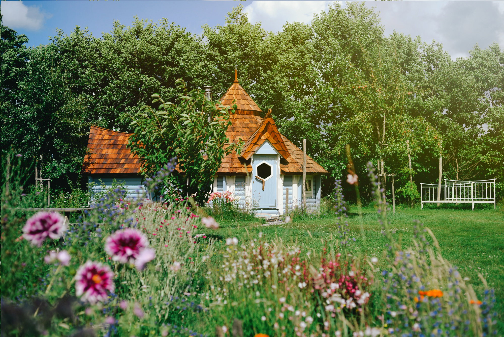 - image: 51