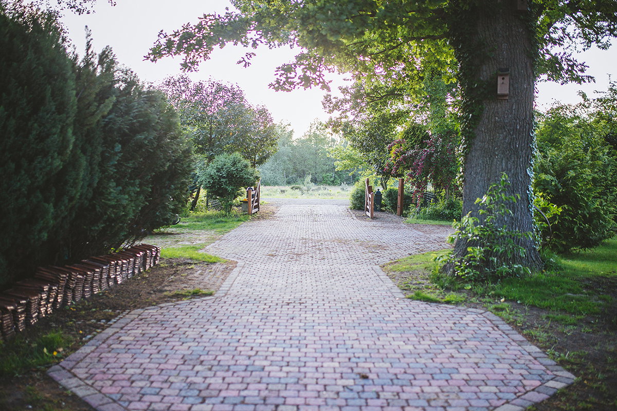 - image: 38