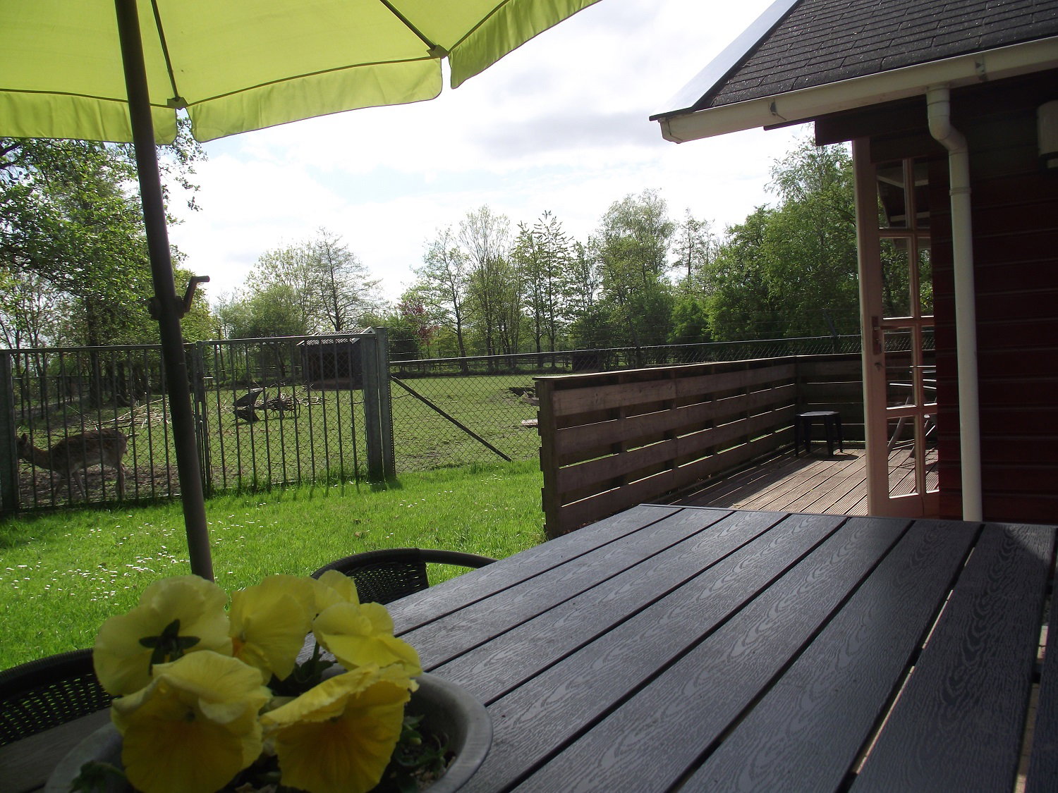 Natuurhuisje in Kollumerzwaag