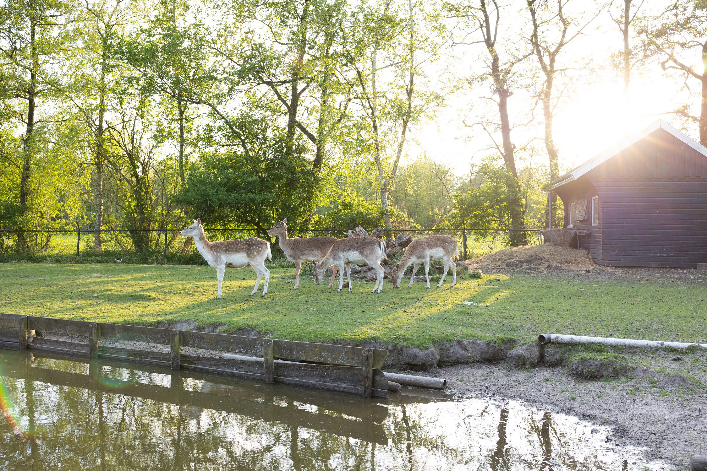 Maison nature à Kollumerzwaag