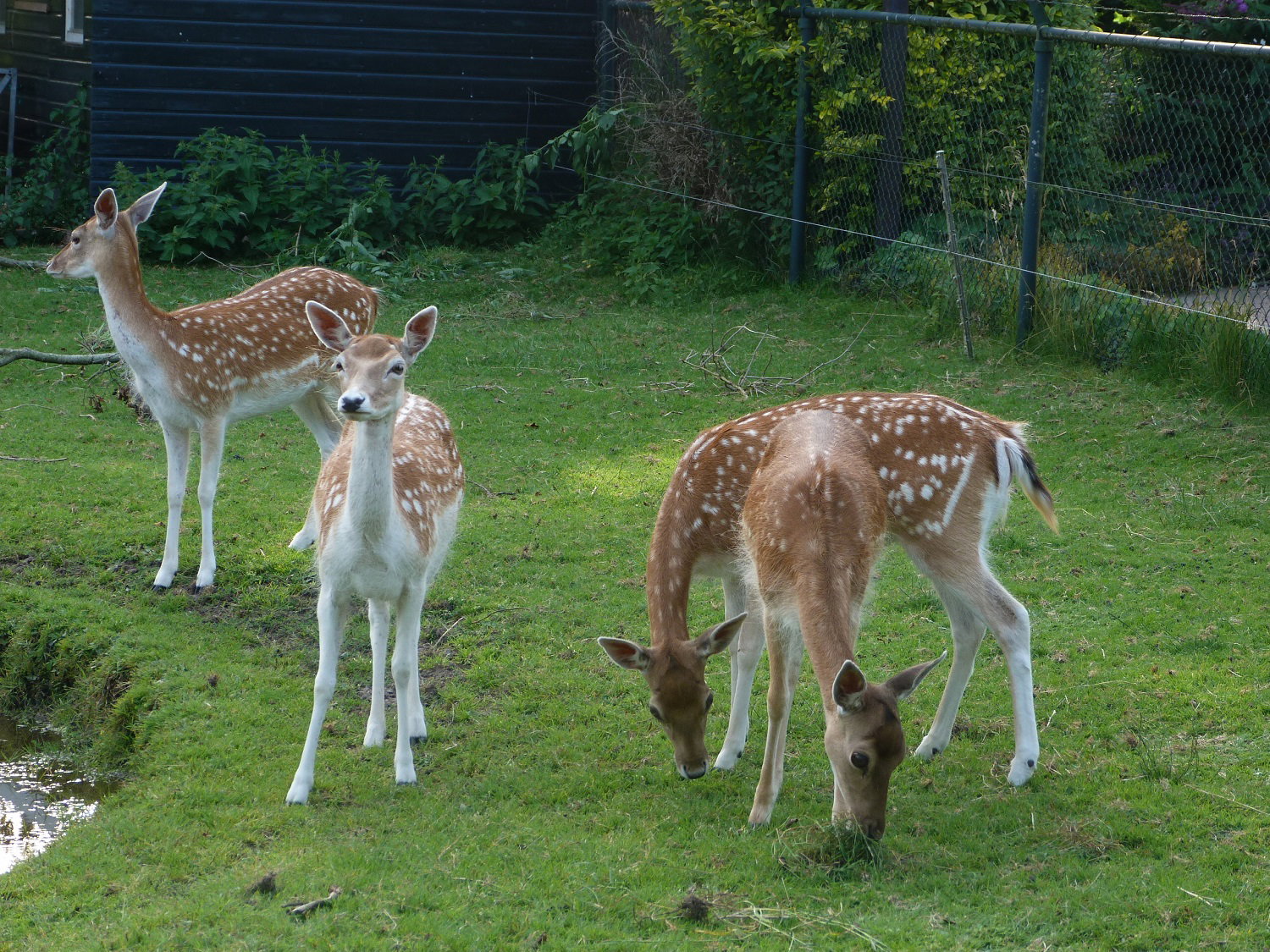 Natuurhuisje in Kollumerzwaag