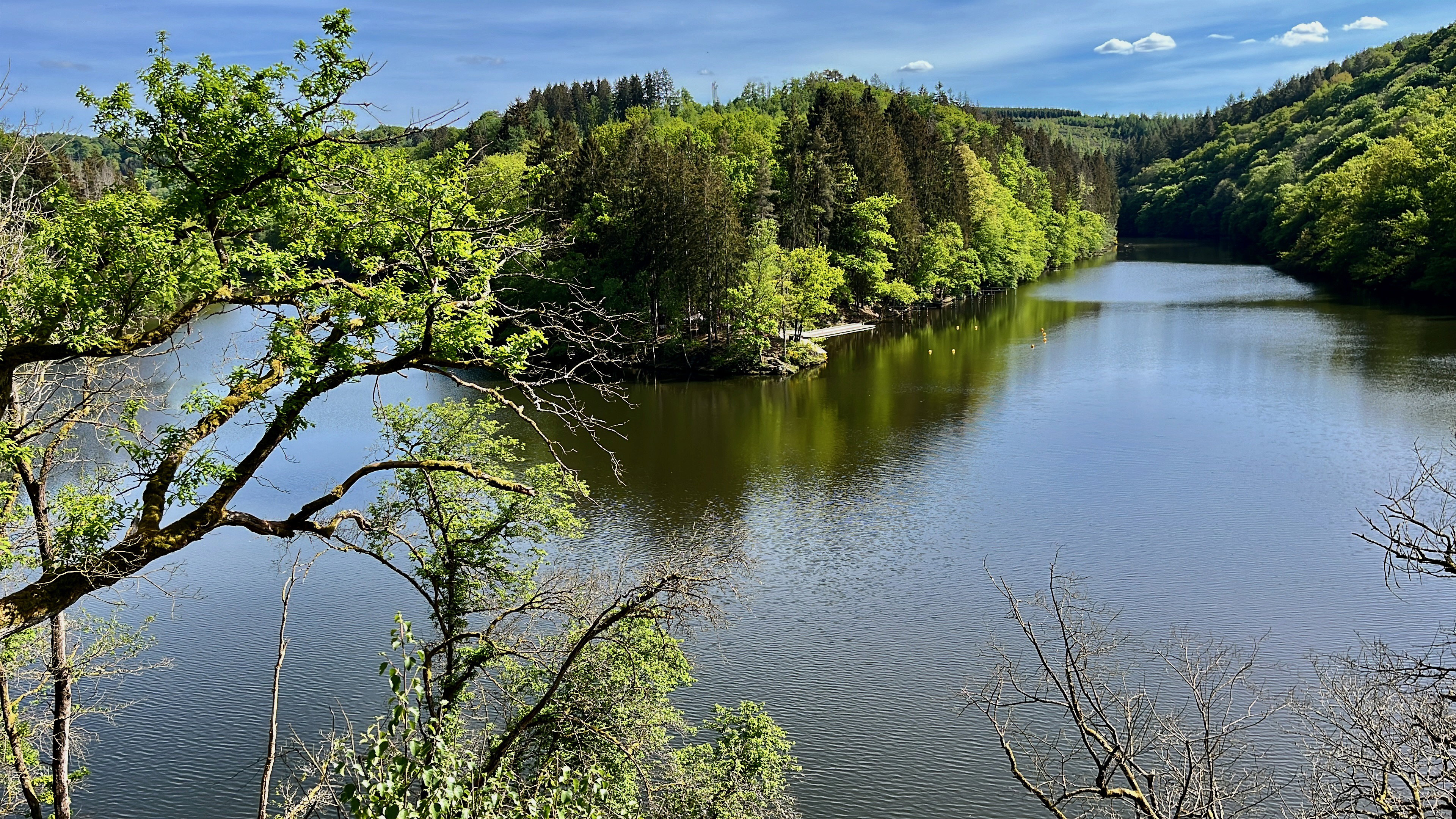 - image: 29