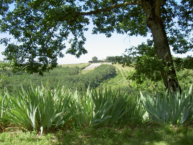 Natuurhuisje in St  Nazaire de Valentane
