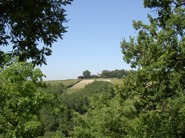 - image: 11