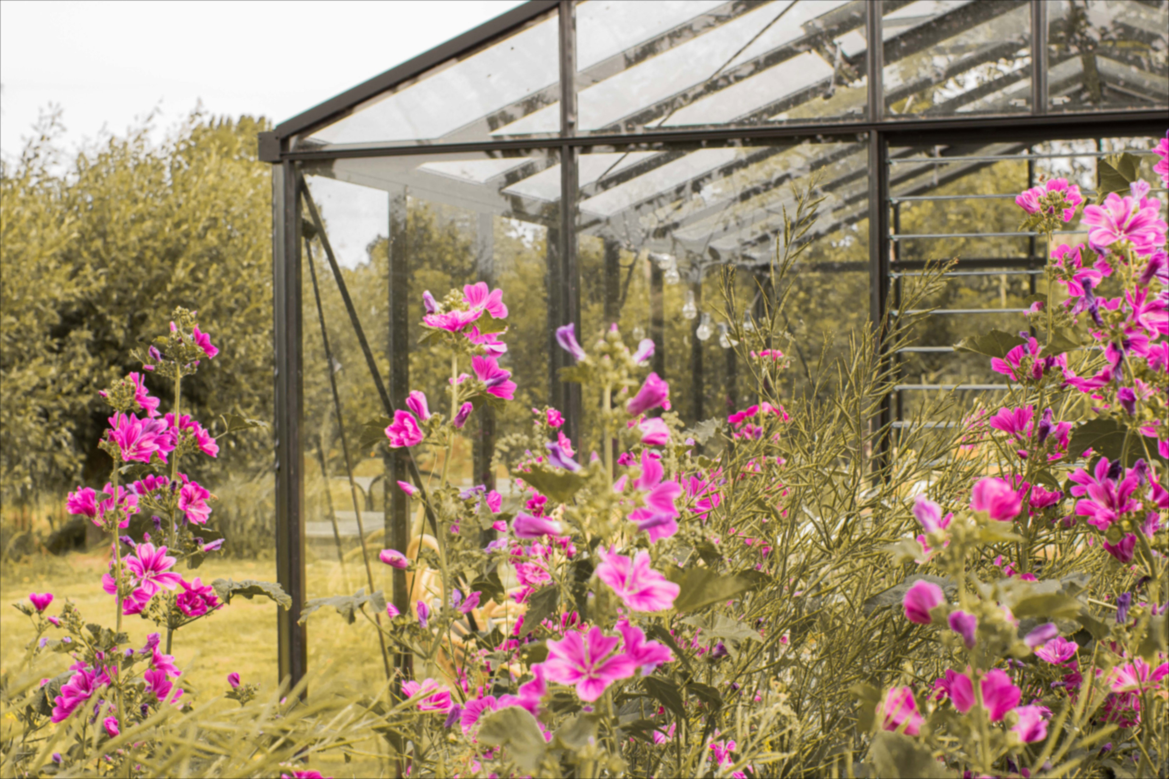 Casa nella natura a Benningbroek