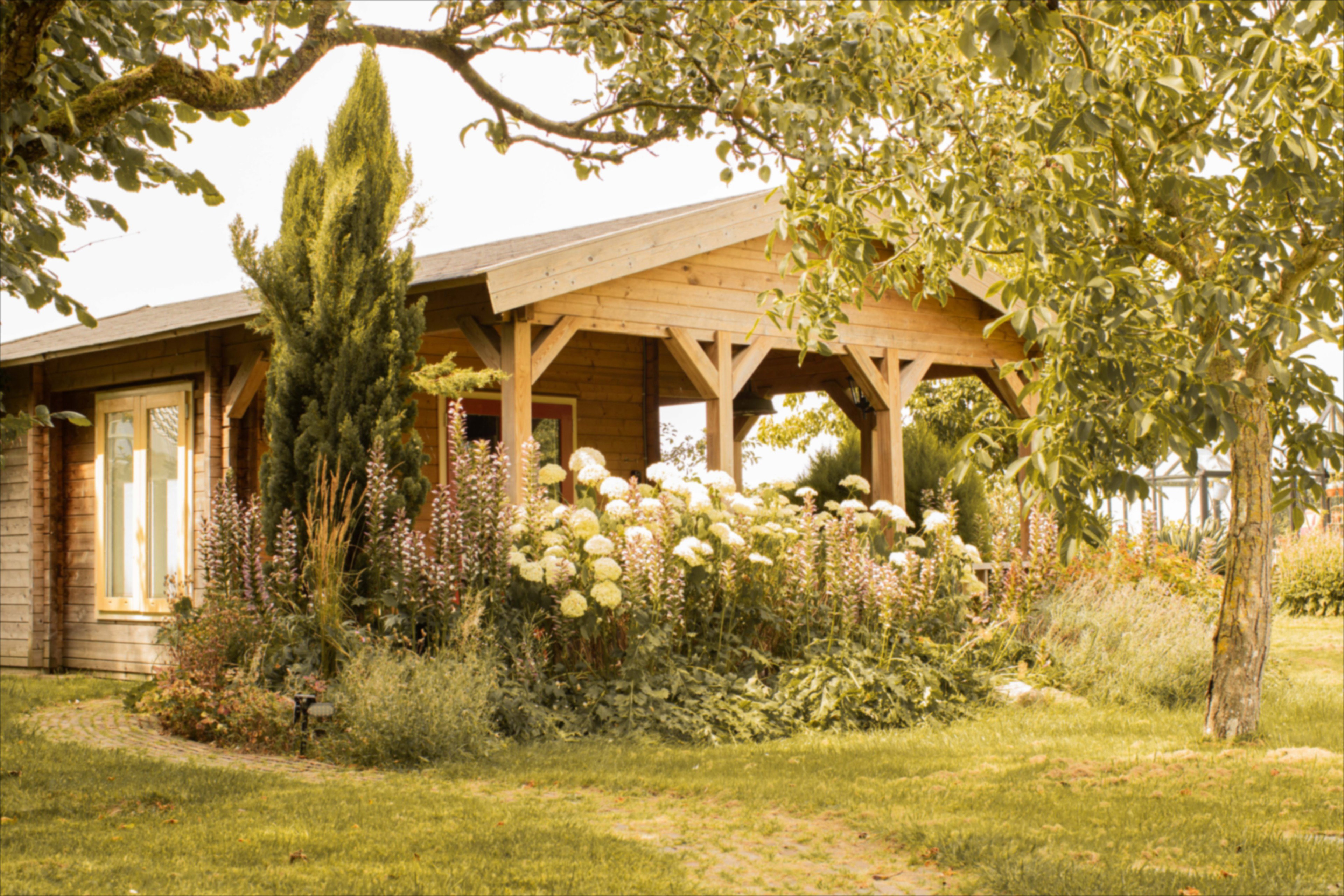 Casa nella natura a Benningbroek