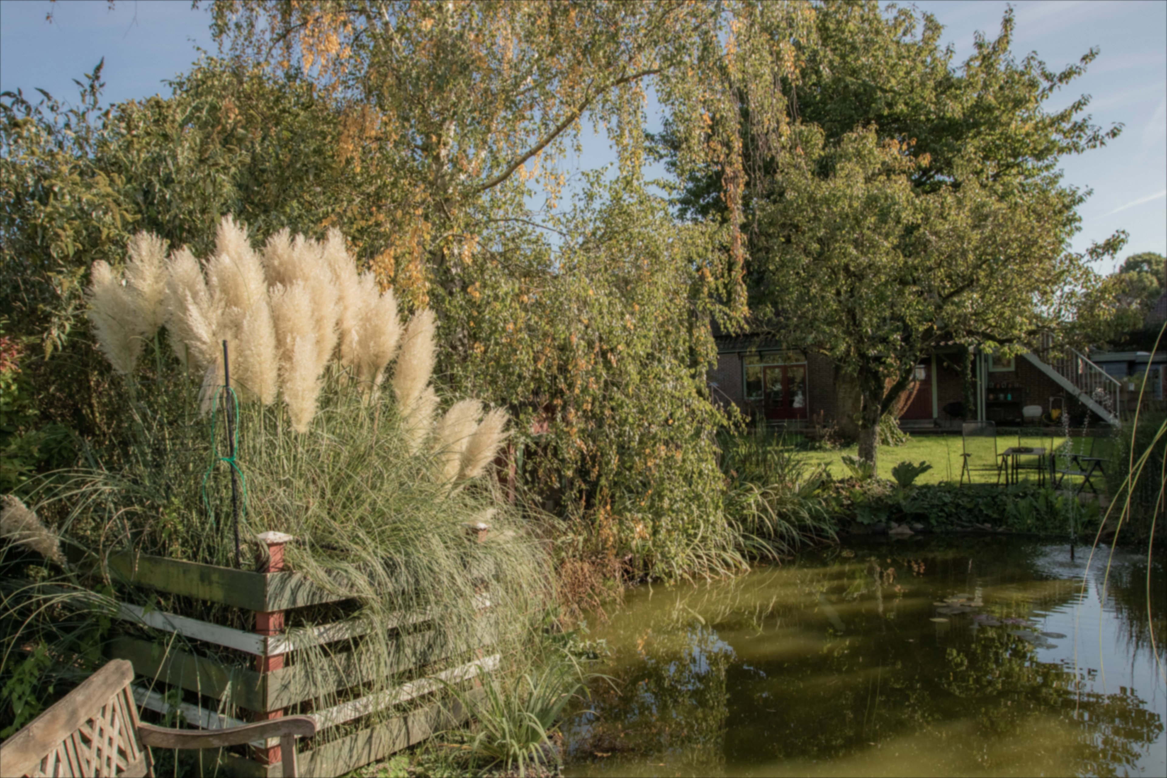 Casa nella natura a Benningbroek