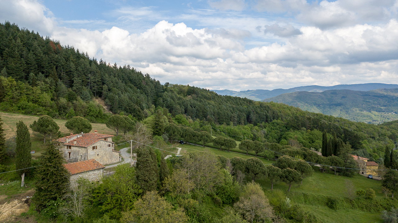 - image: 20