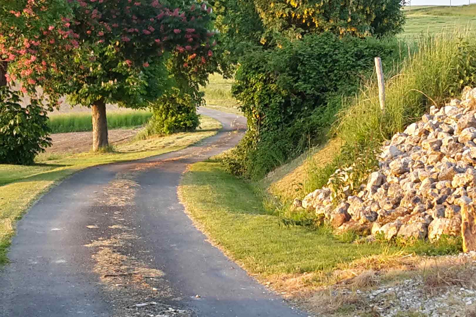 - image: 40