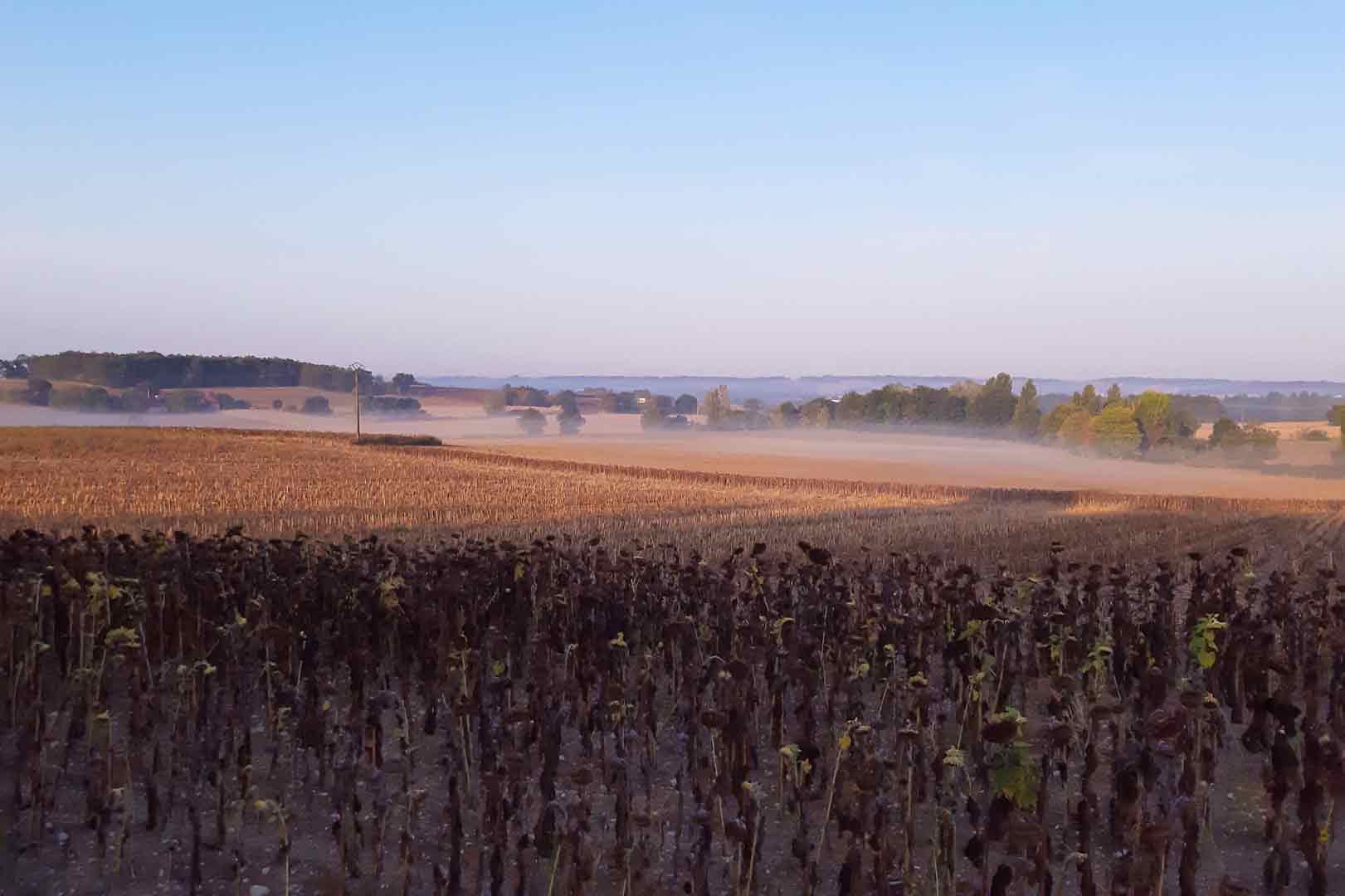 - image: 43