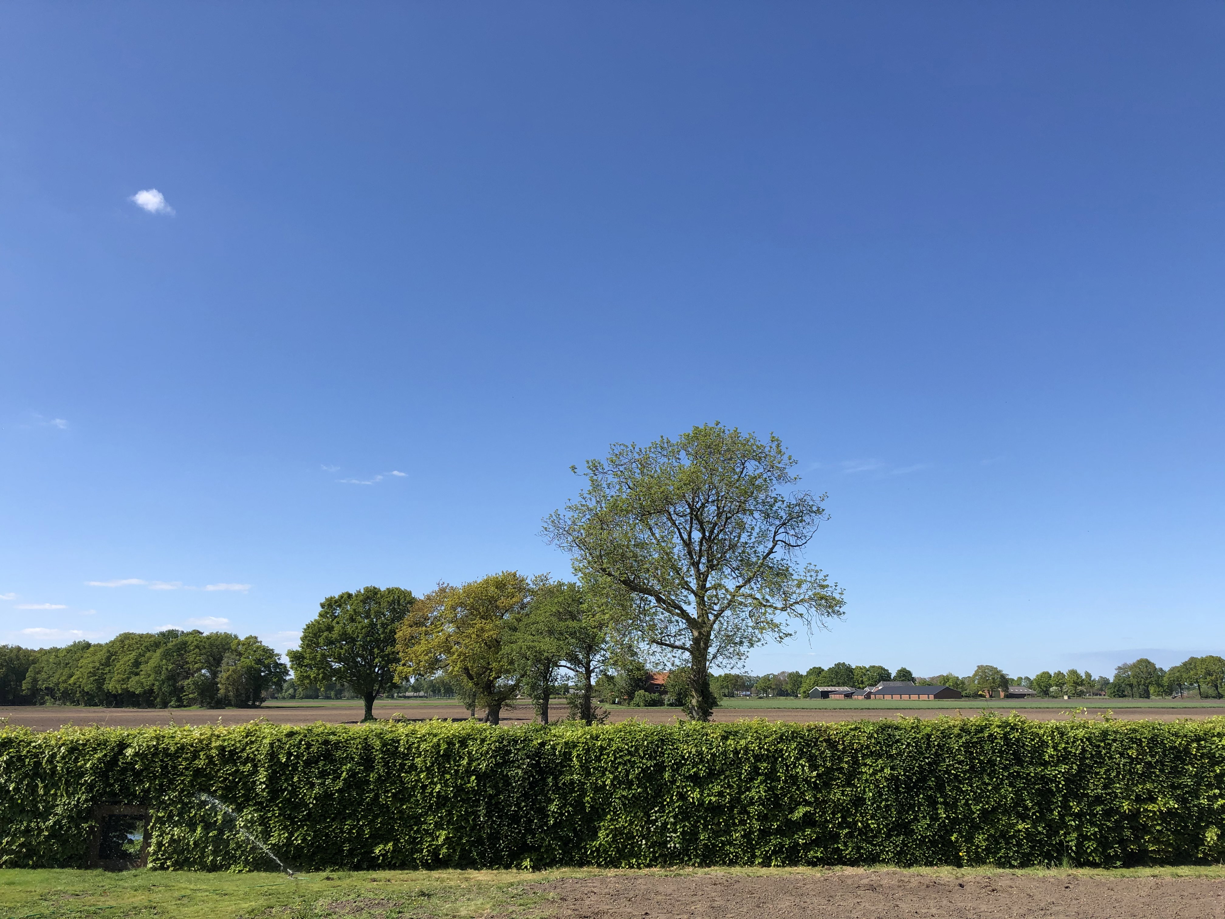- image: 22