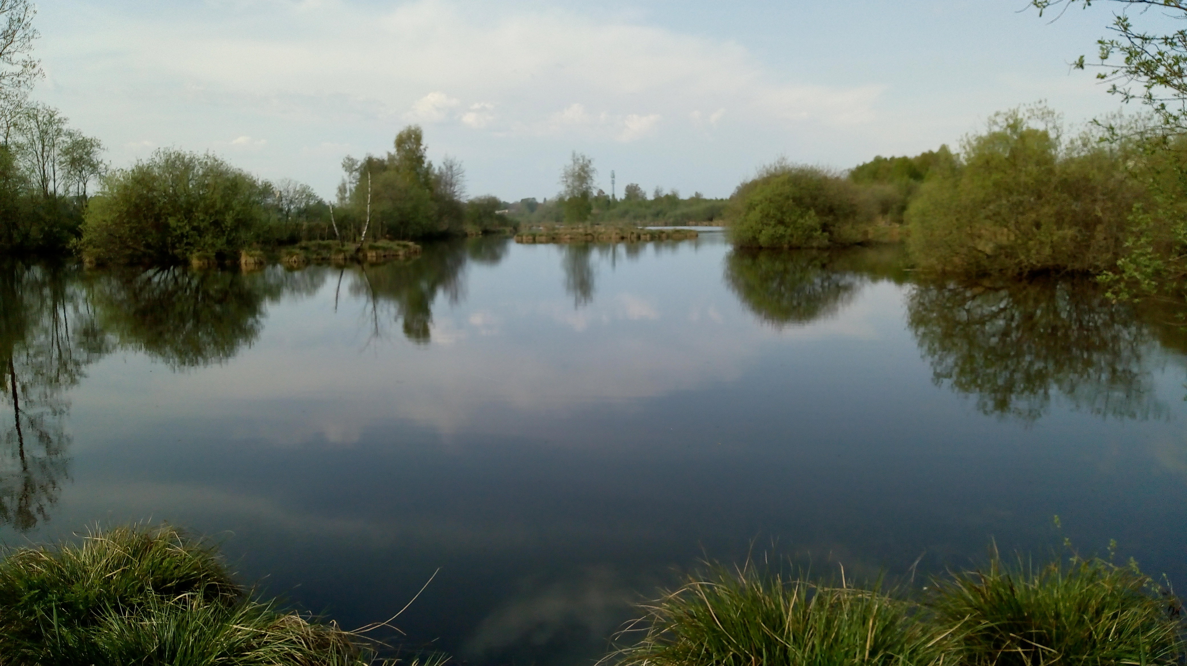 - image: 14