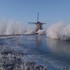 - image: 22