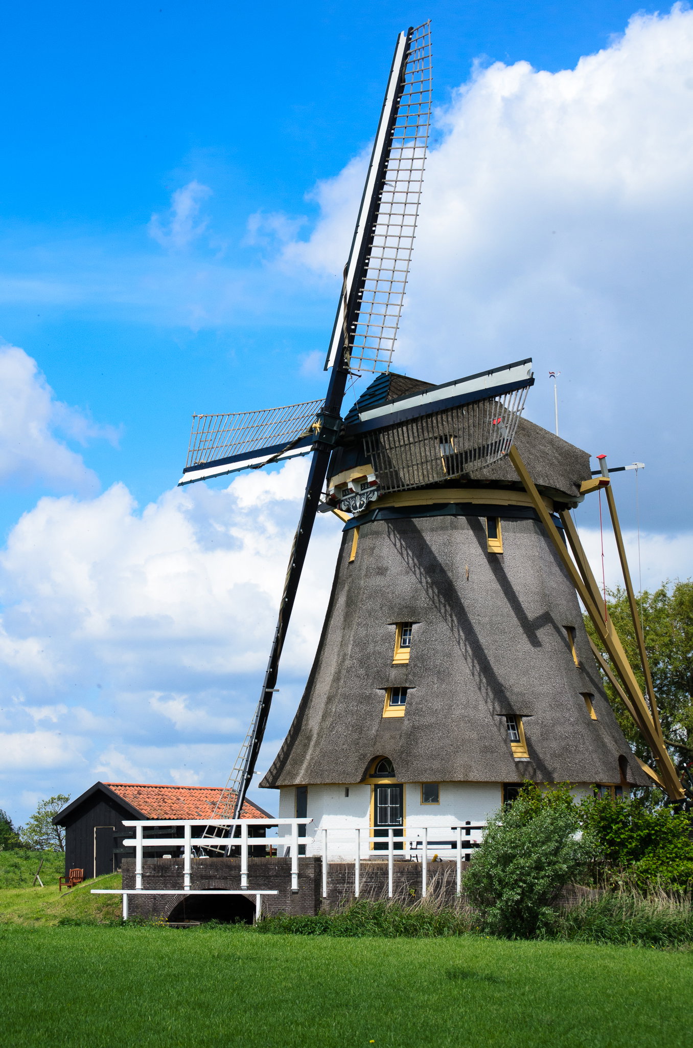 - image: 21