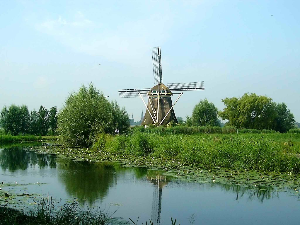 - image: 1