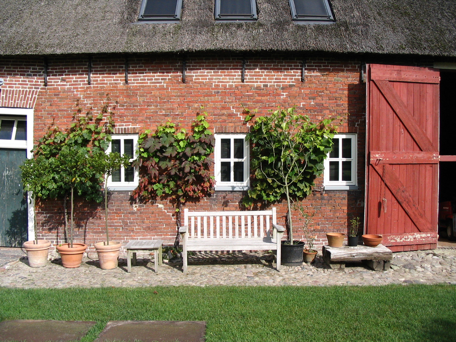 Maison nature à Lutjegast