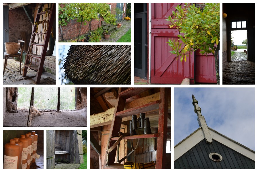 Maison nature à Lutjegast