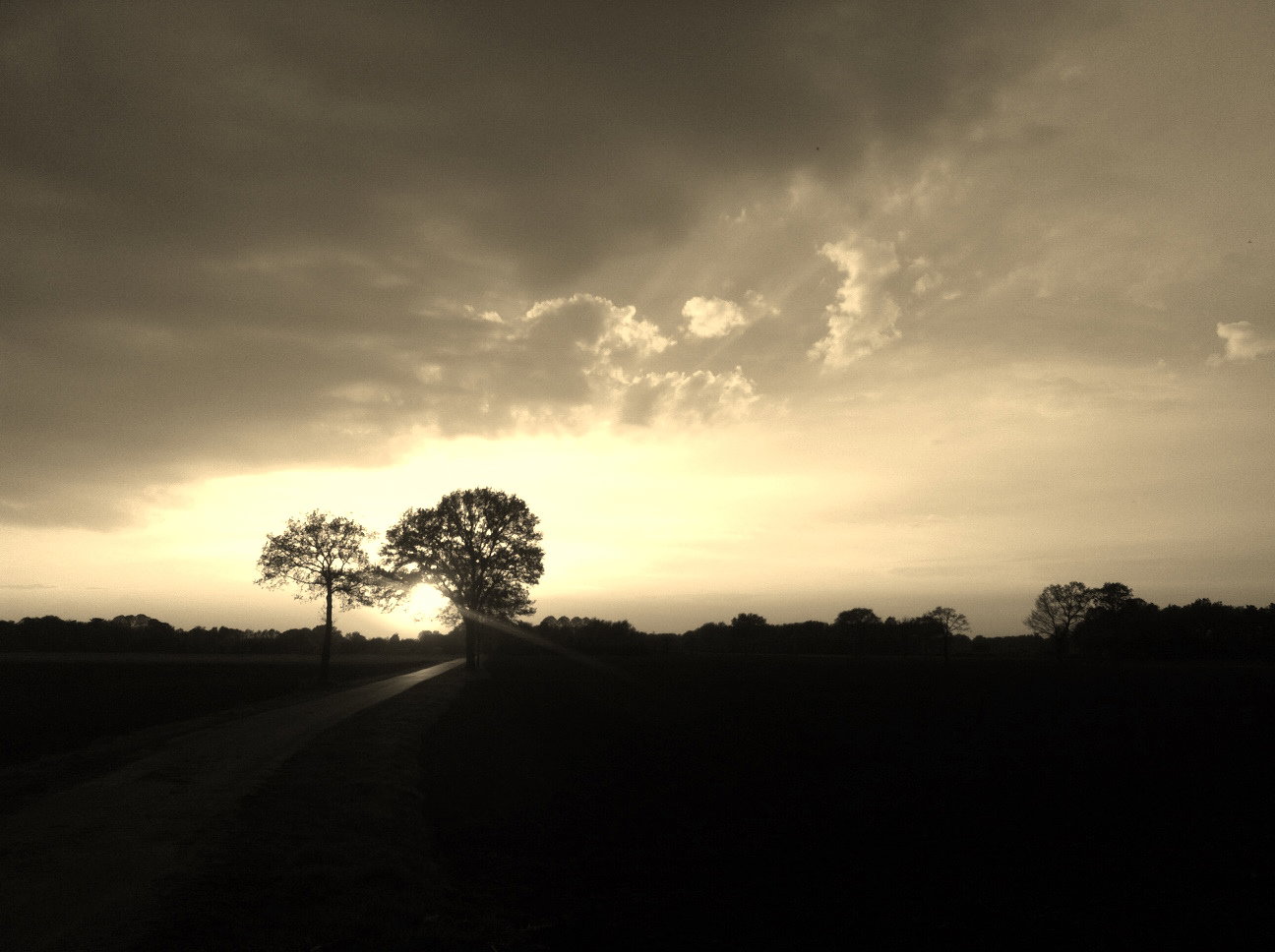 - image: 14