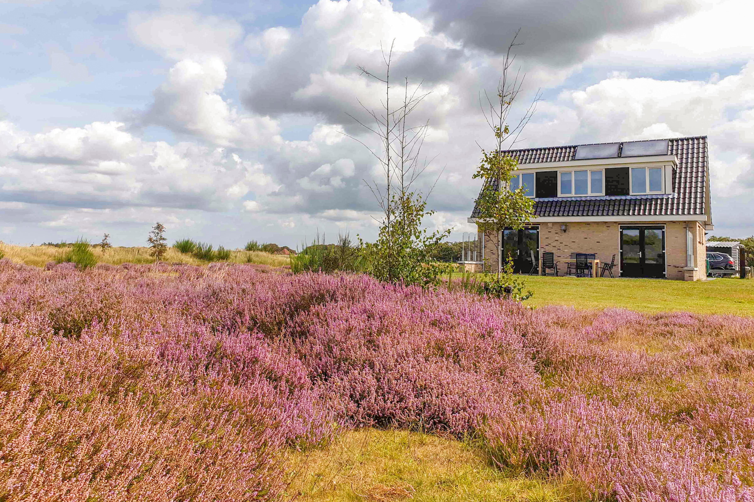 Natuurhuisje in Den Burg
