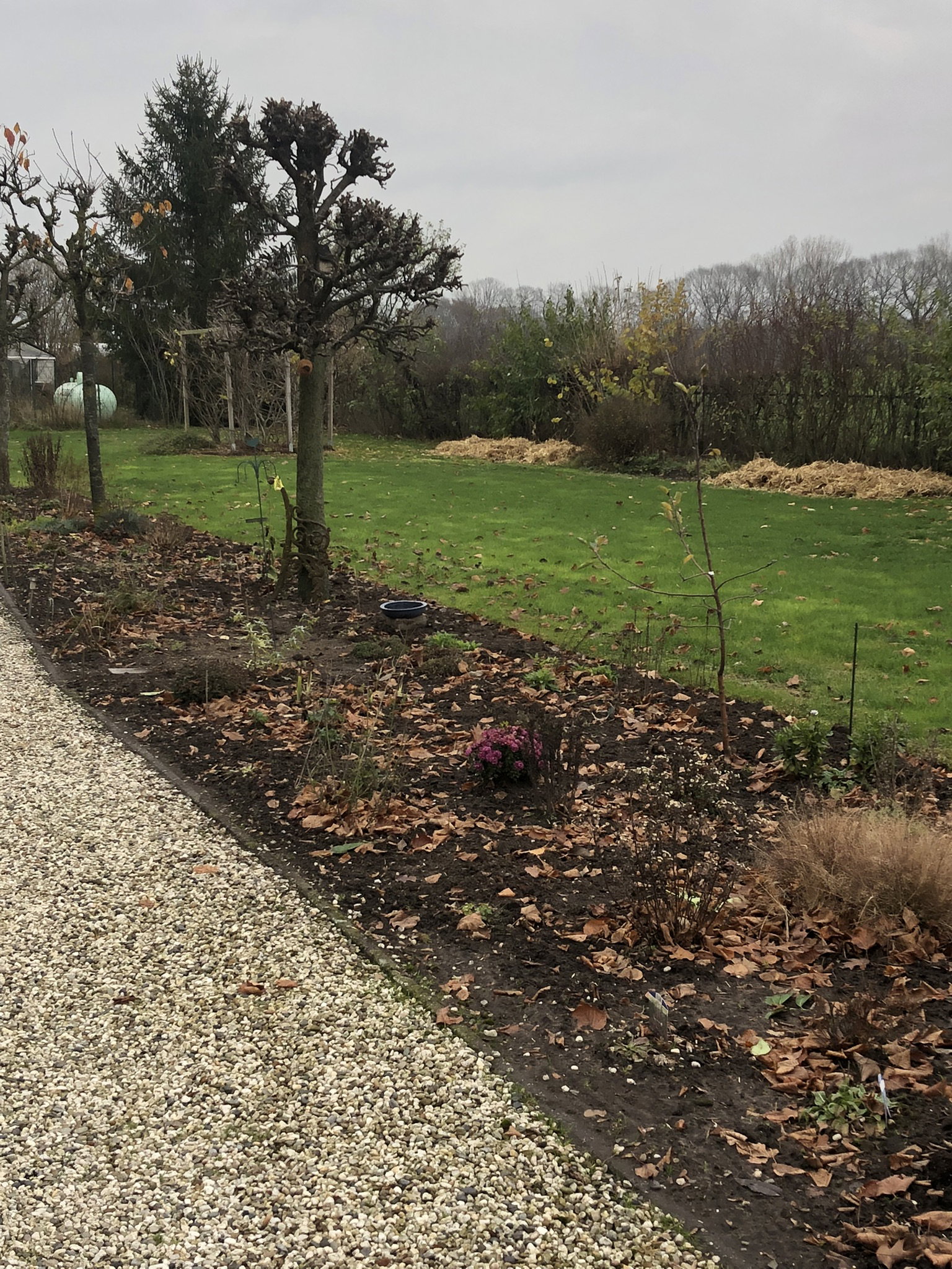 Naturhäuschen in Heythuysen
