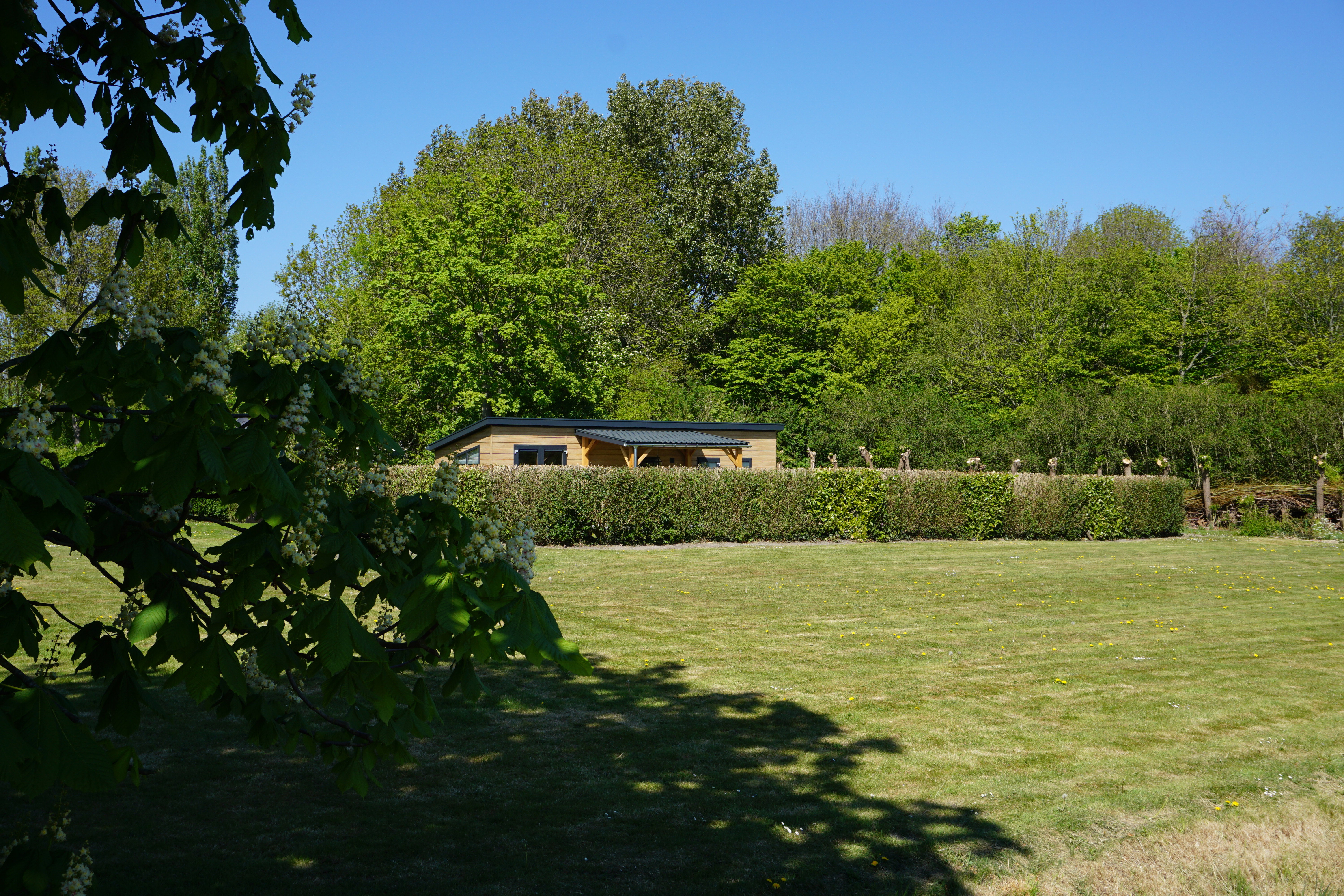 Casa nella natura a Noordwelle