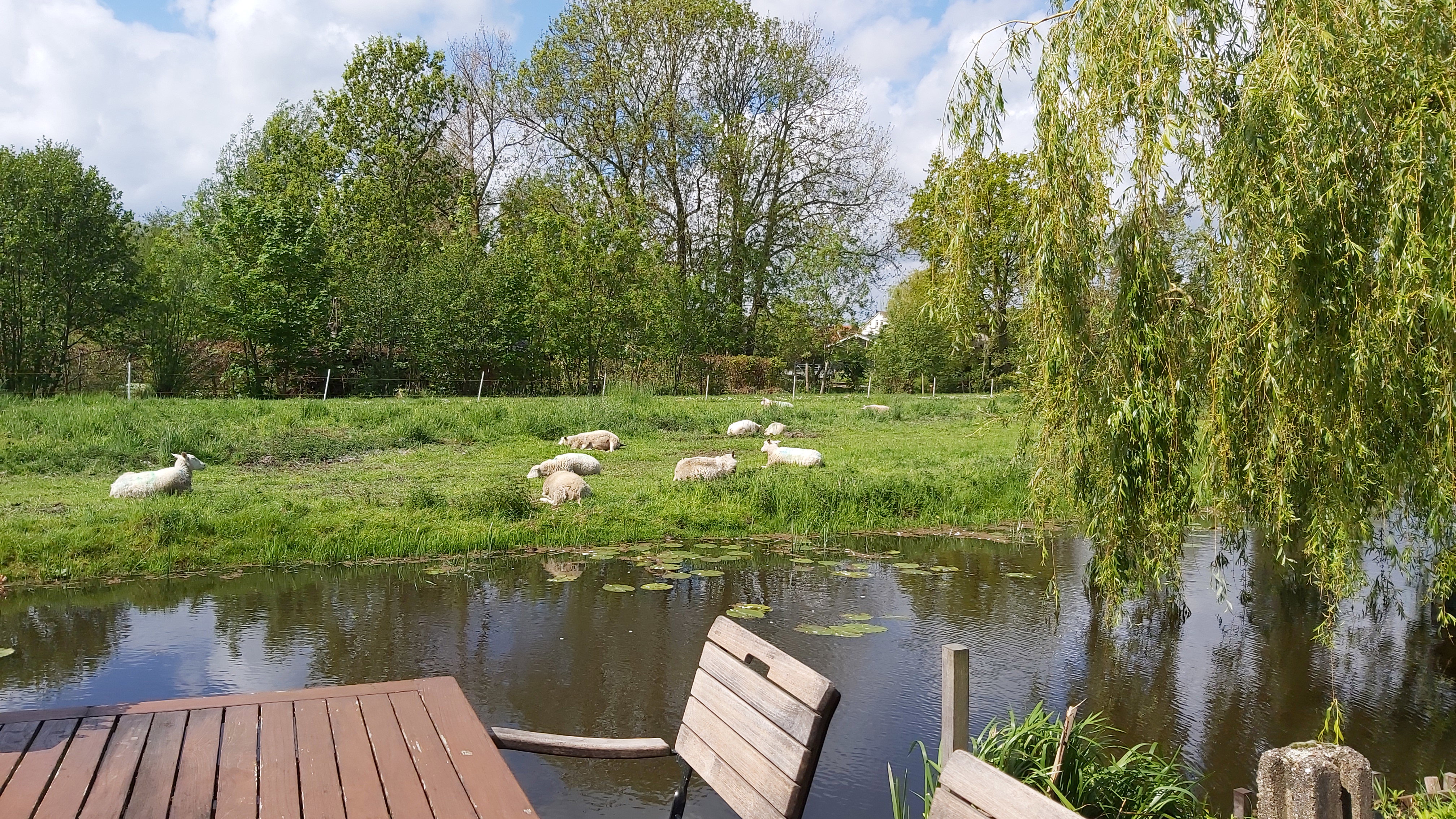 Maison nature à Groot-Ammers