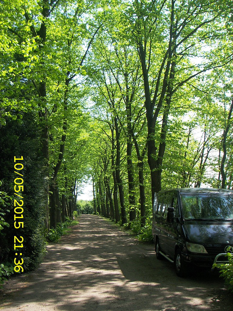 - image: 6